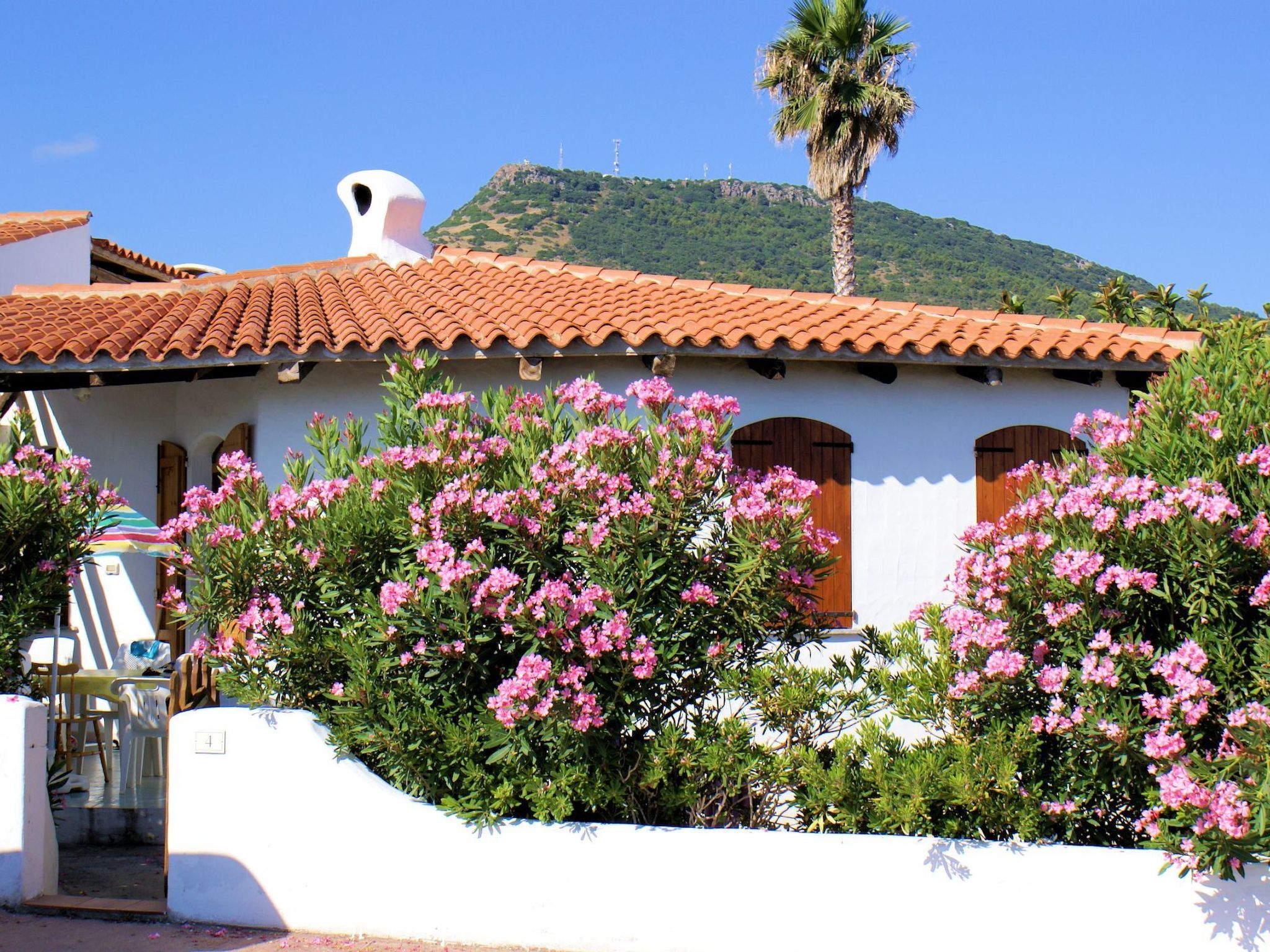 Photo of Sa Fiorida C plus