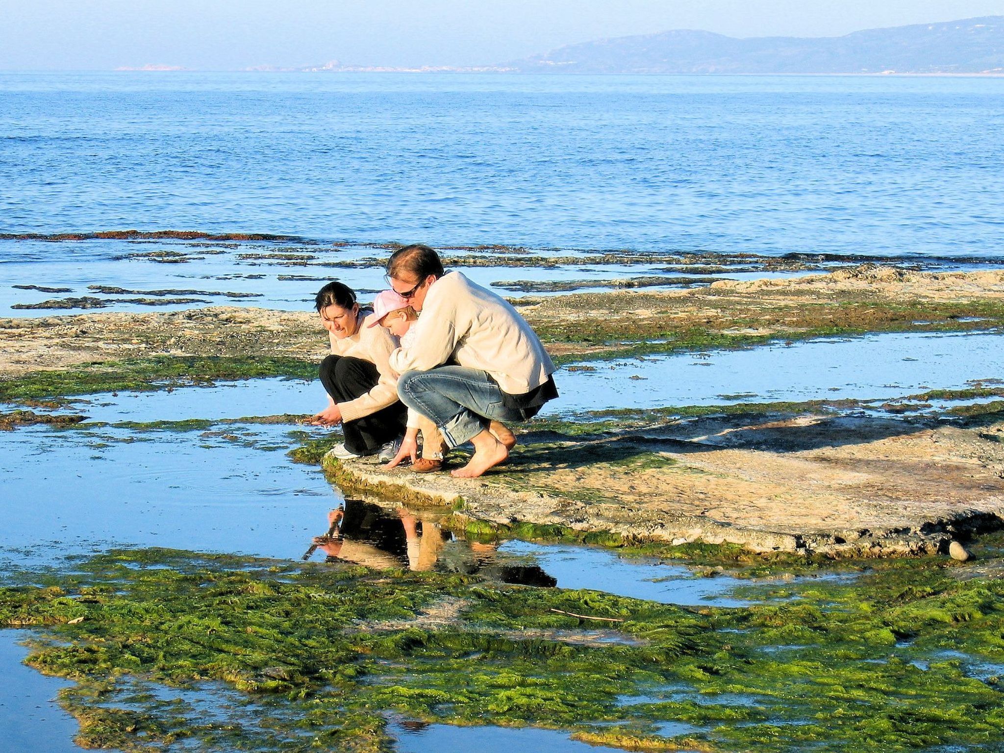 Photo of Sa Fiorida C plus