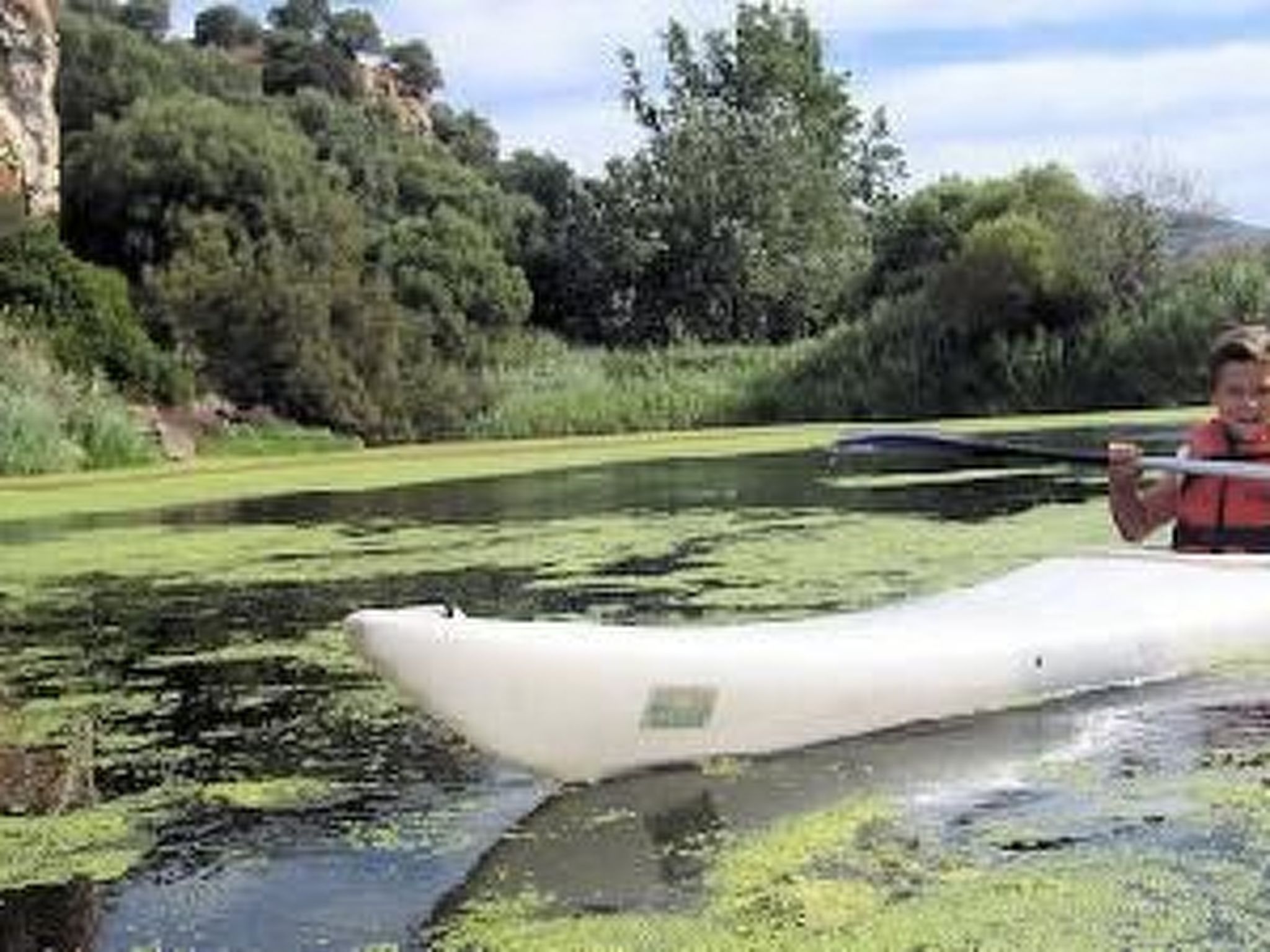 Photo of Sa Fiorida Alice II