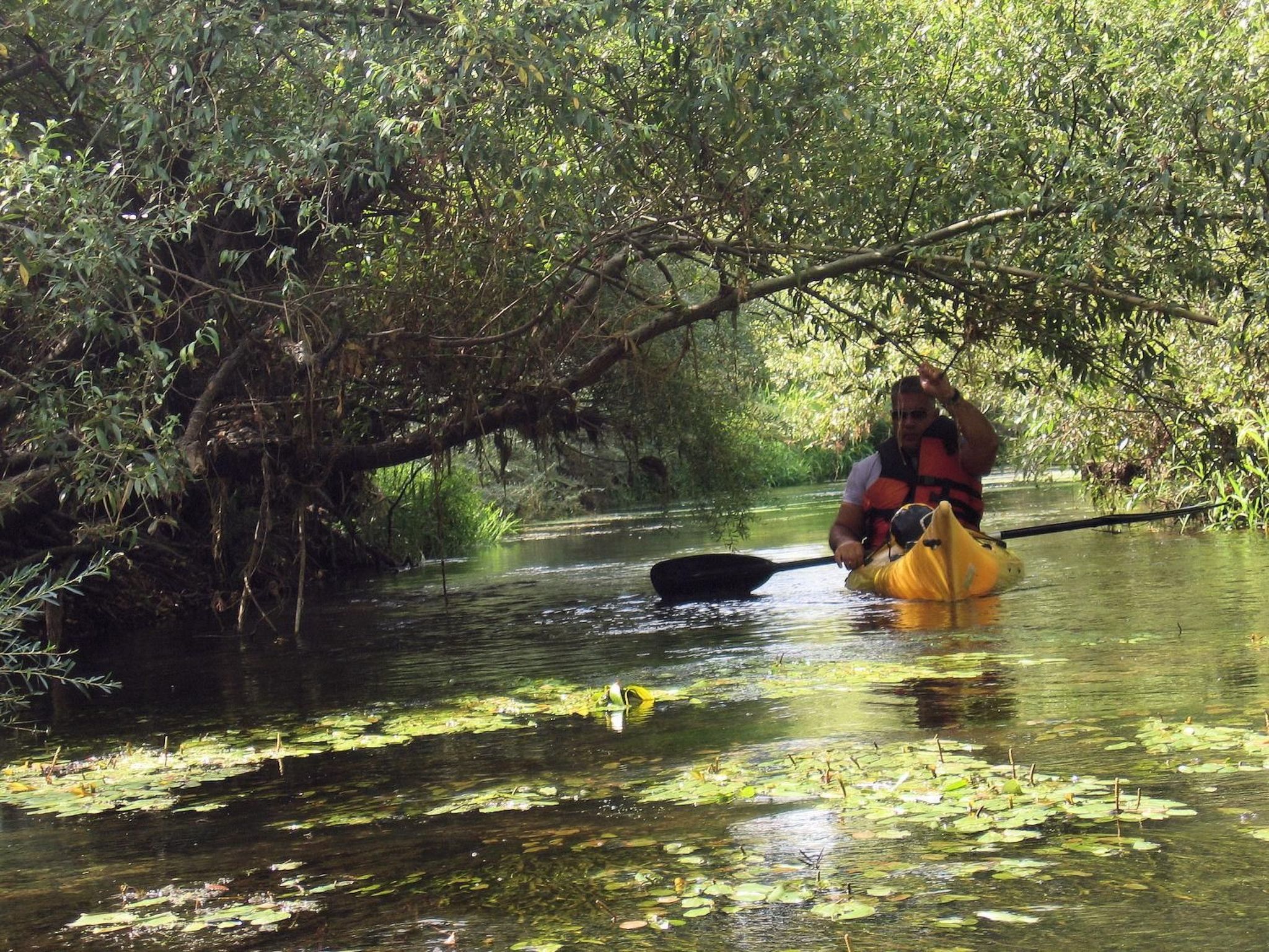 Photo of Solevacanze K plus