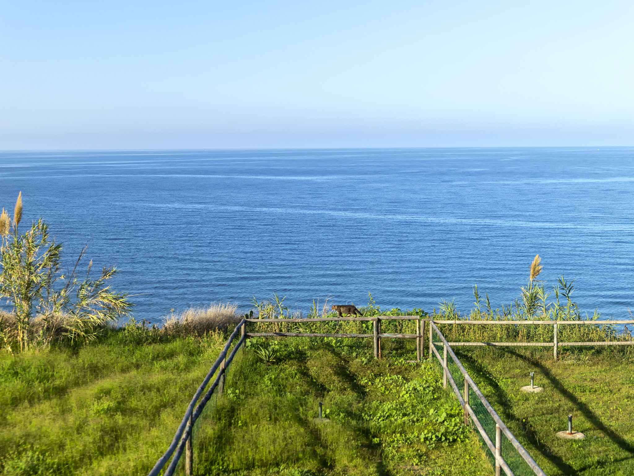 Photo of Onda perfetta