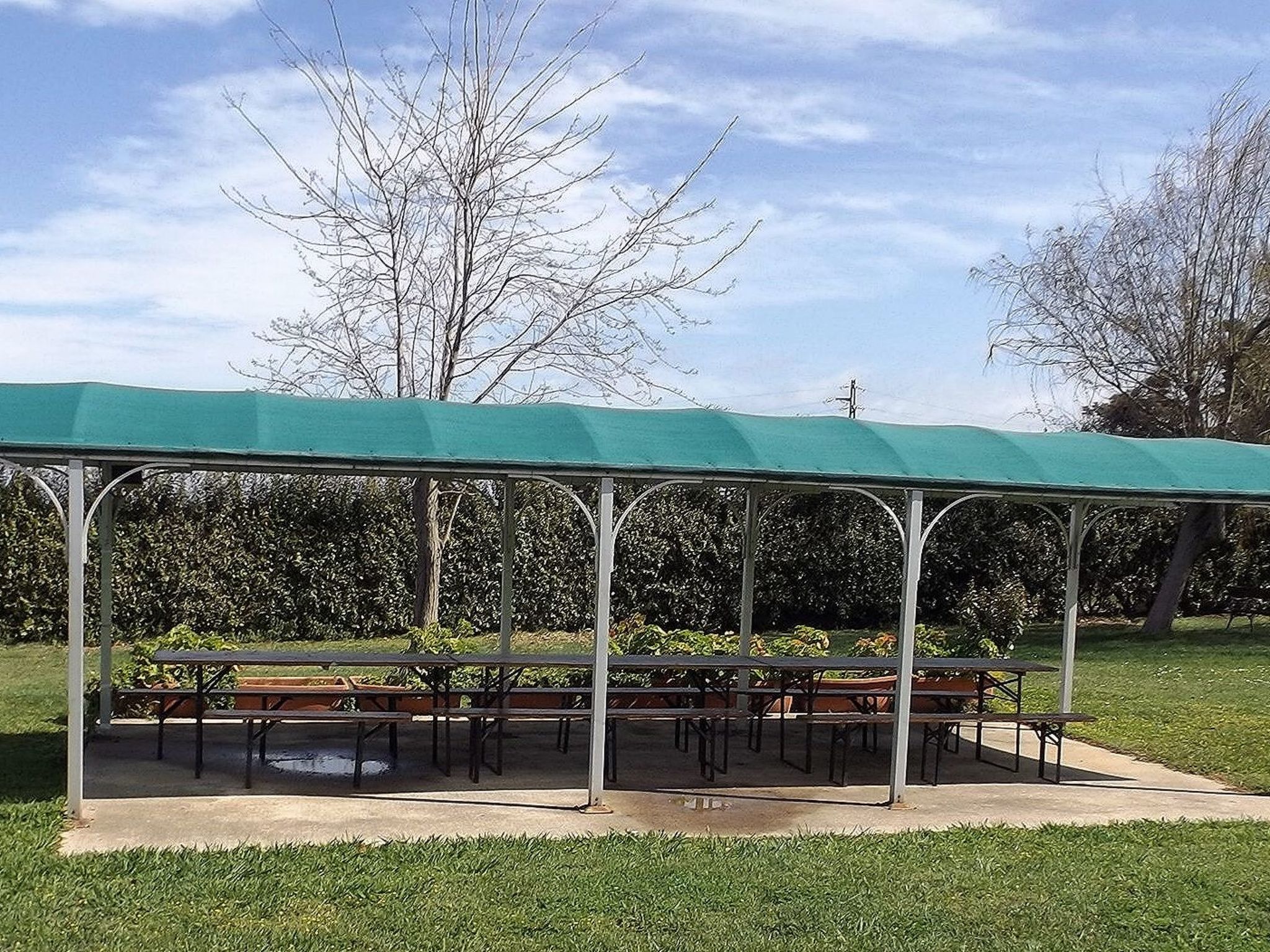 2232028-Image-tags.info