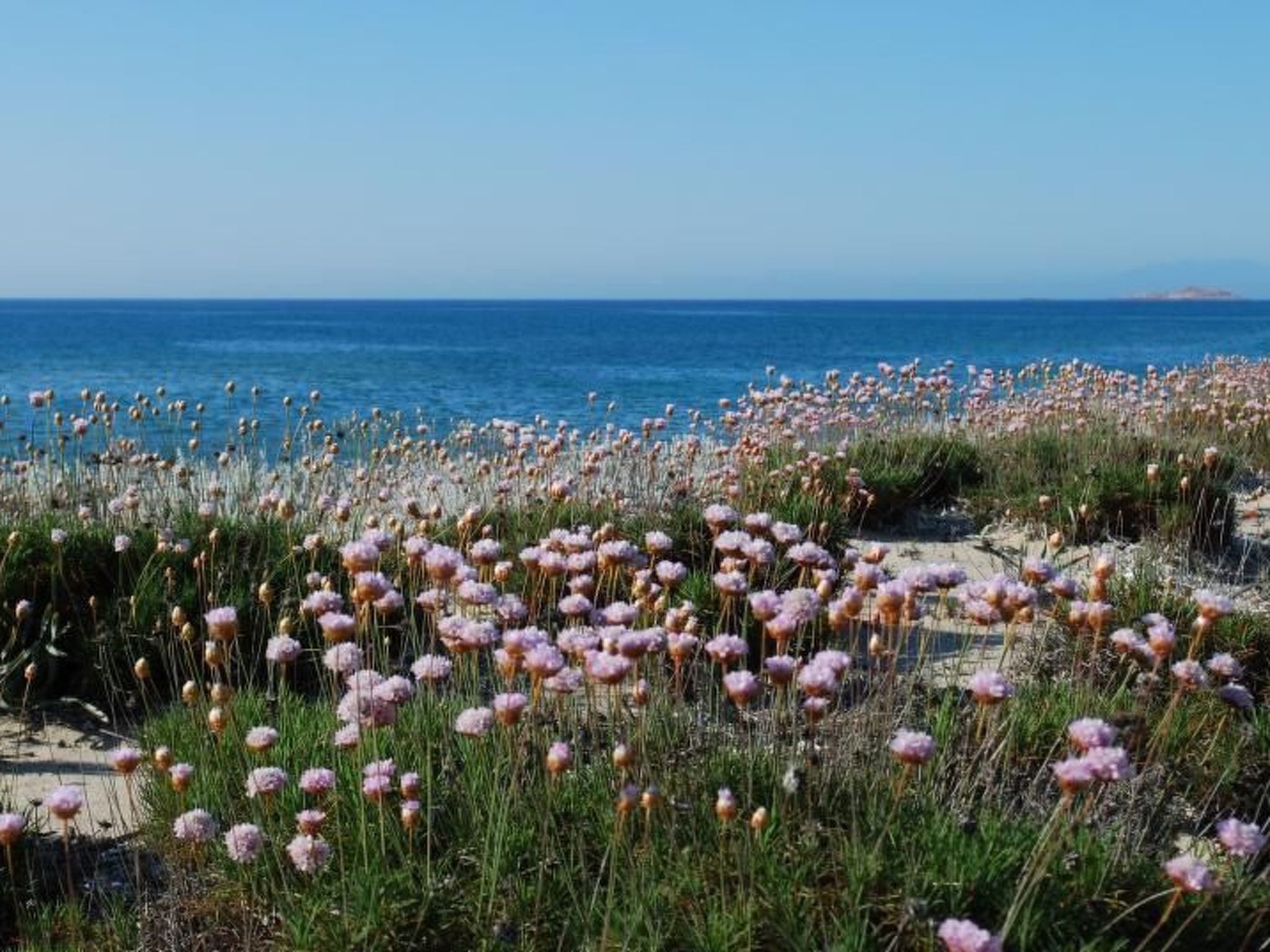 'Villa verde' in Strandnähe