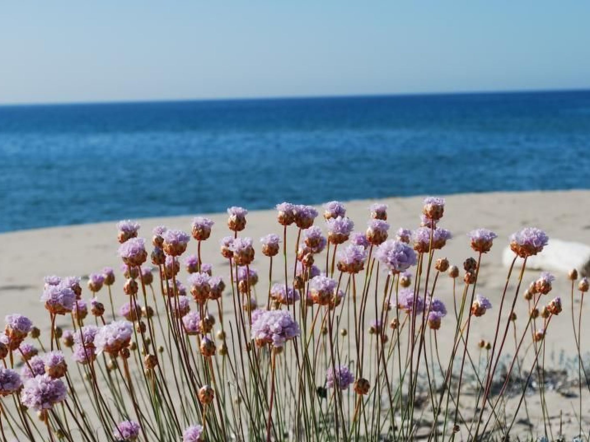 'Villa verde' in Strandnähe-Buiten