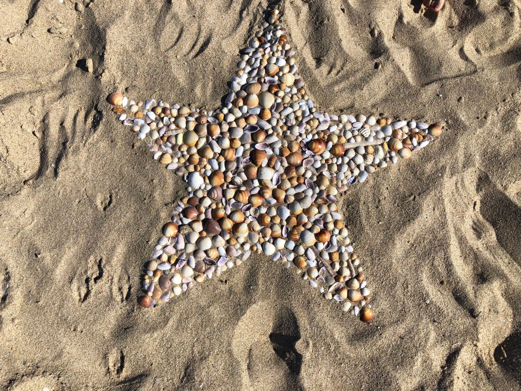 'Villa verde' in Strandnähe-Image-tags.info