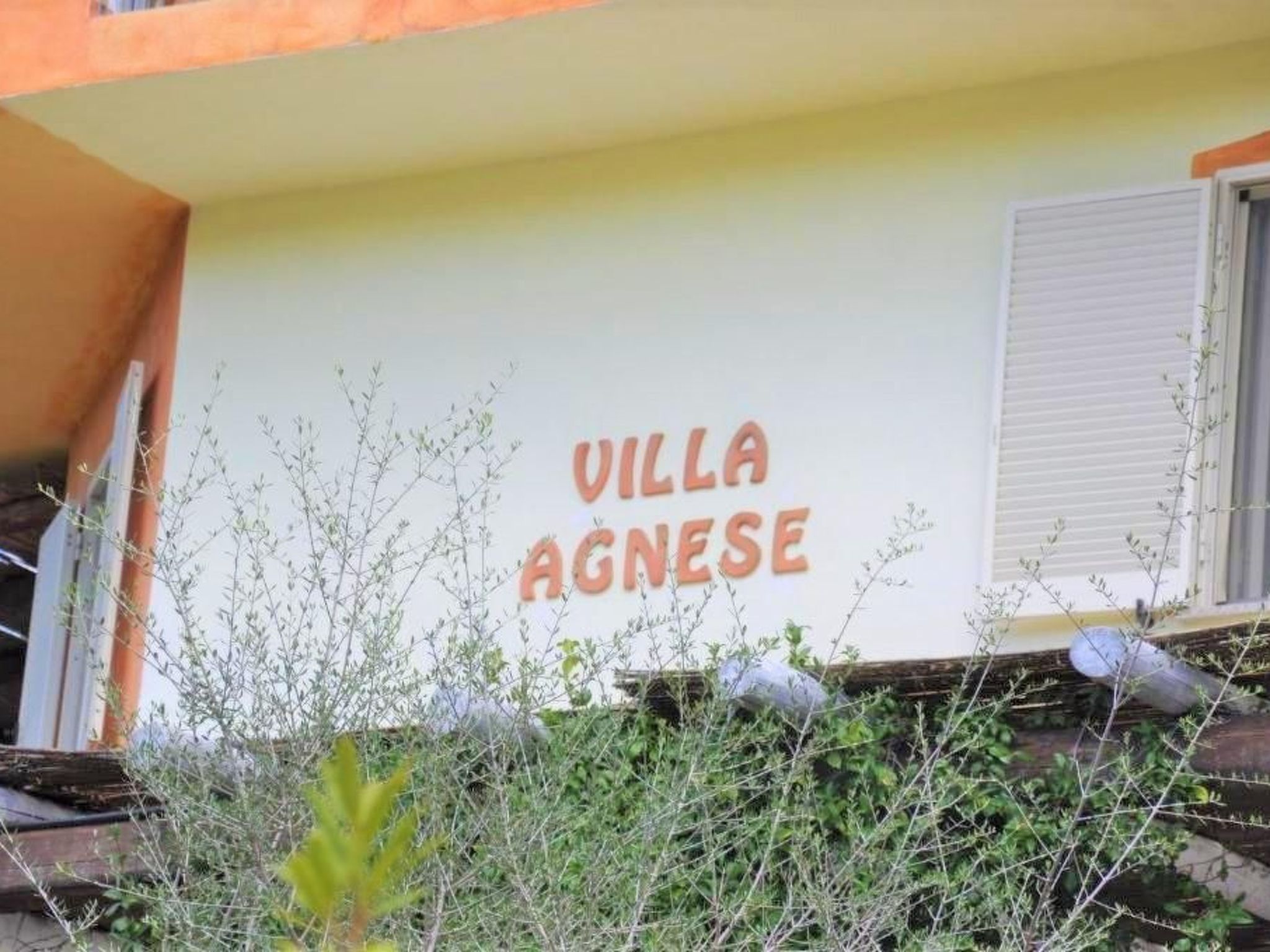 Mit Blick auf das Wasser-Image-tags.info