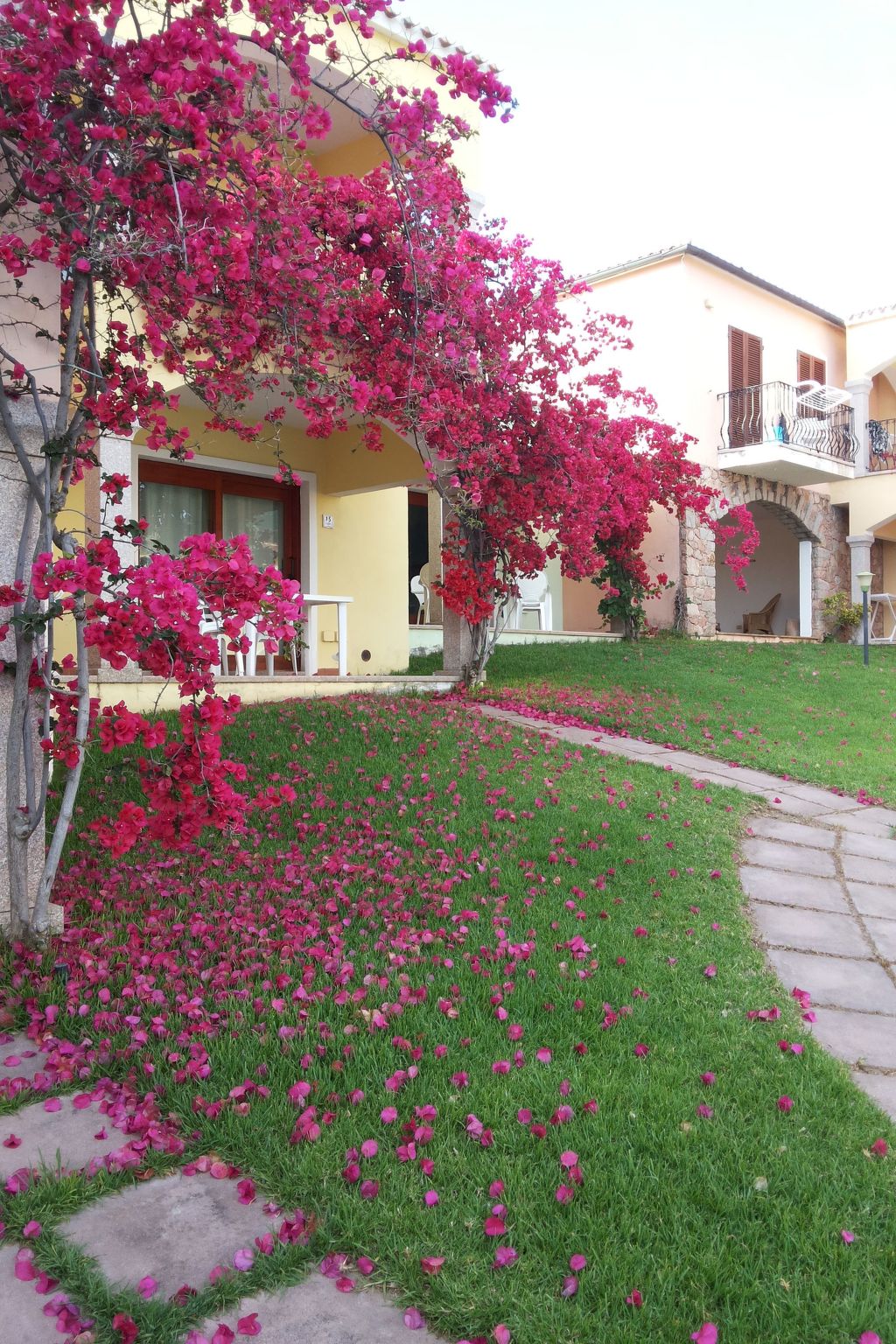 Badus in Badesi-Binnen