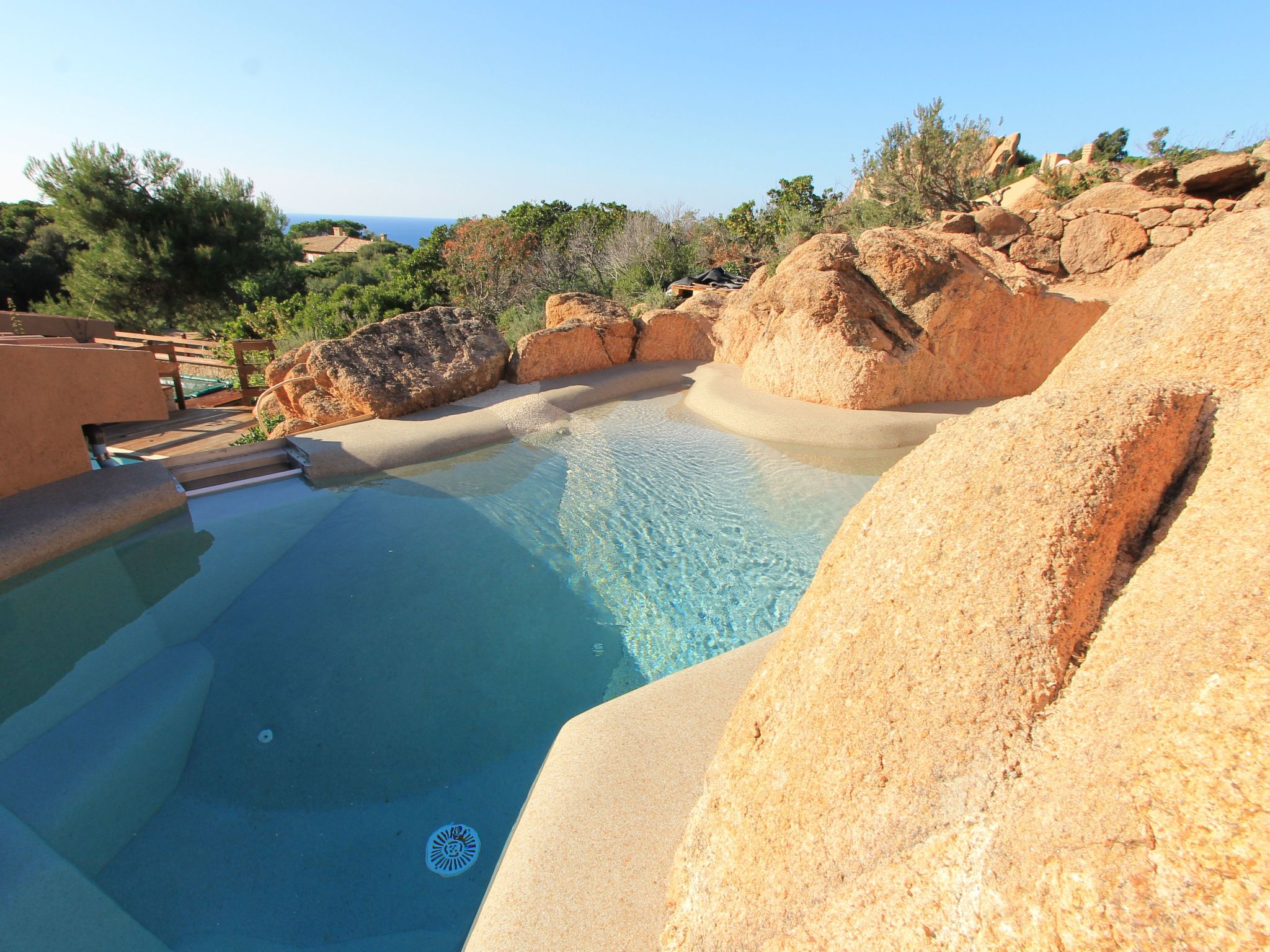 'Rosa 9-Image-tags.info