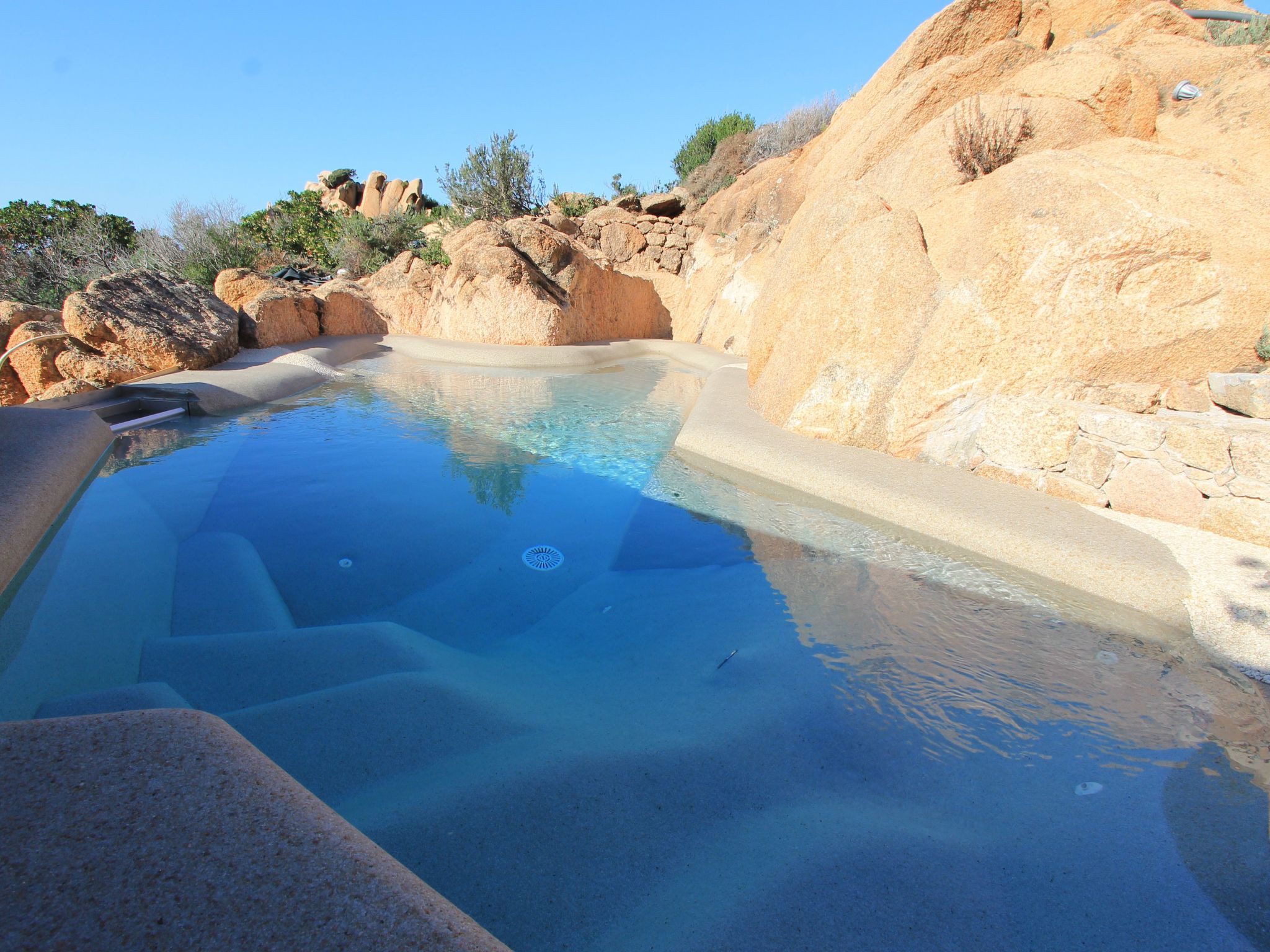 'Rosa 9-Image-tags.info