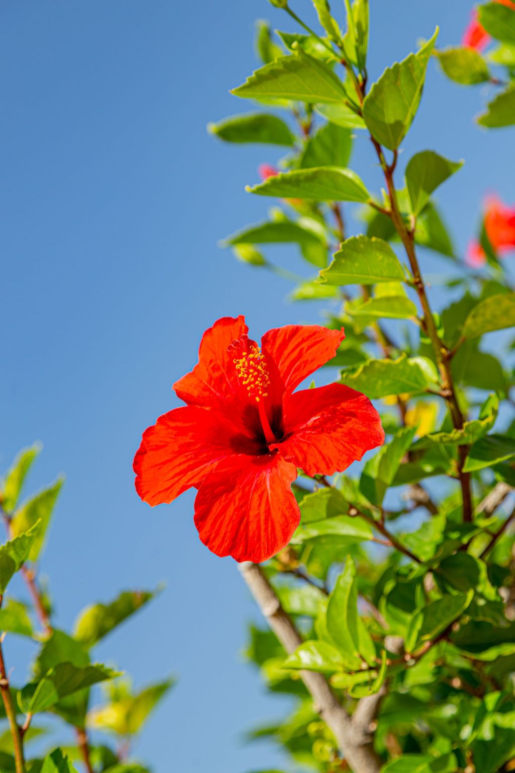 Villa Conchiglia-Dehors