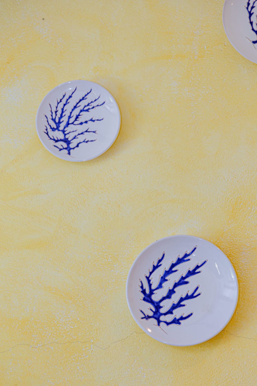 Villa Conchiglia-Dedans