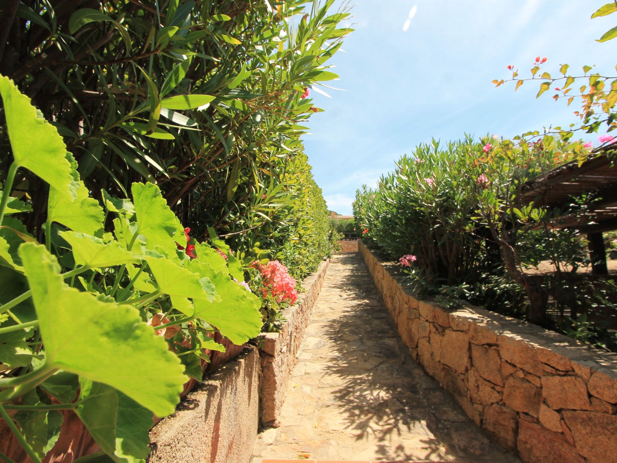 'Granit-Image-tags.info