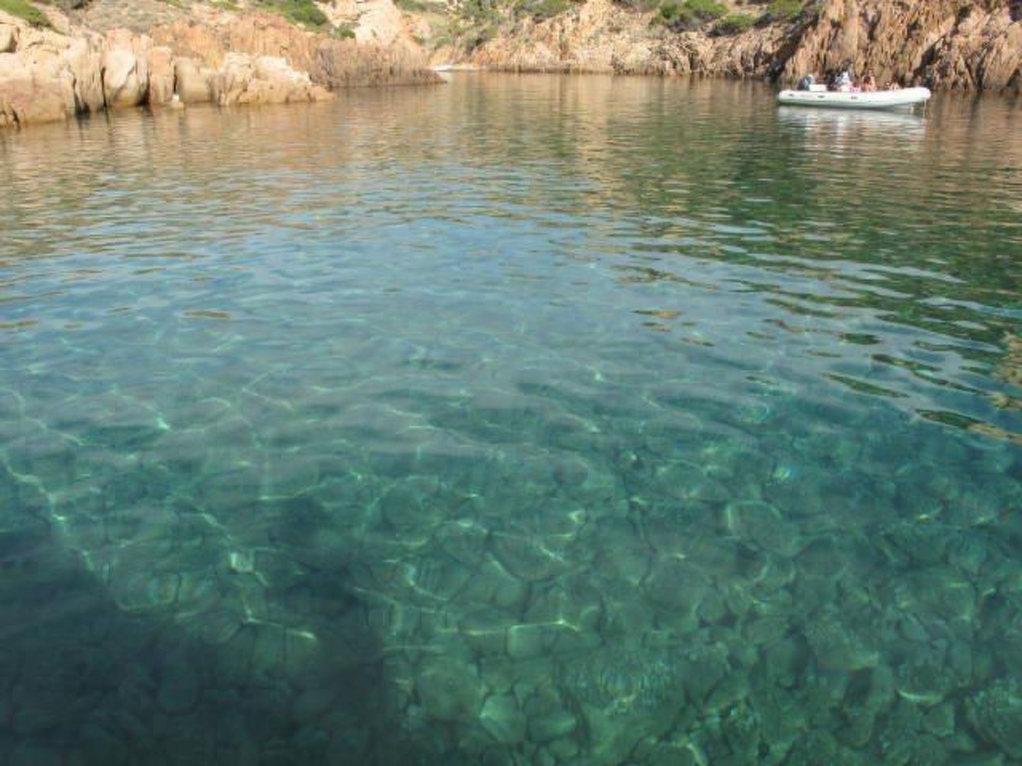 Wohnung 'Rosa 3' mit Terrasse-Image-tags.info