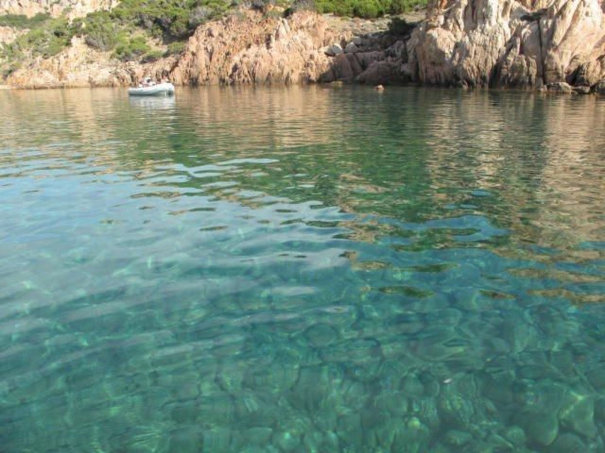 Wohnung 'Rosa 3' mit Terrasse-Image-tags.info