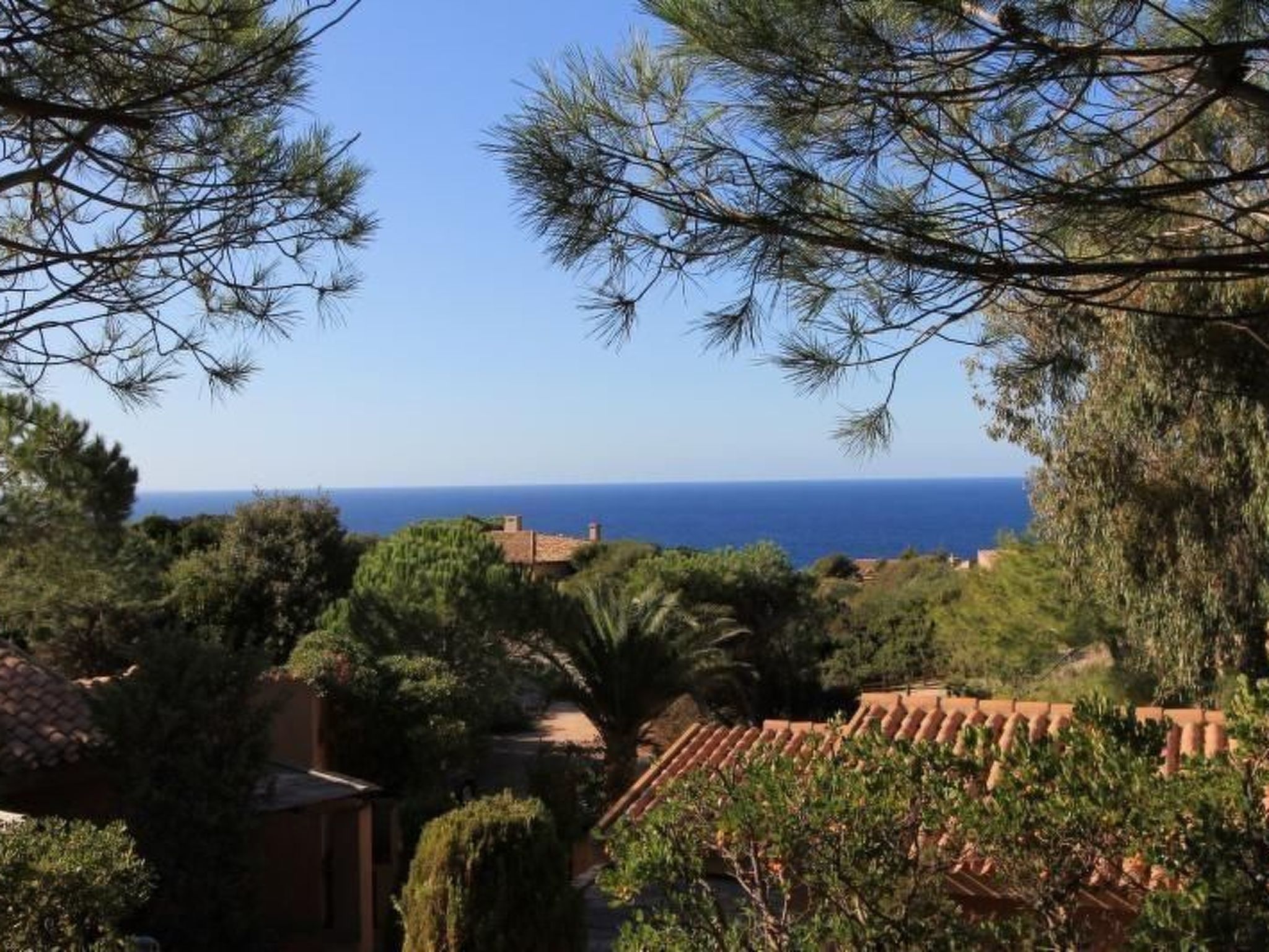 Wohnung 'Rosa 3' mit Terrasse-Image-tags.info