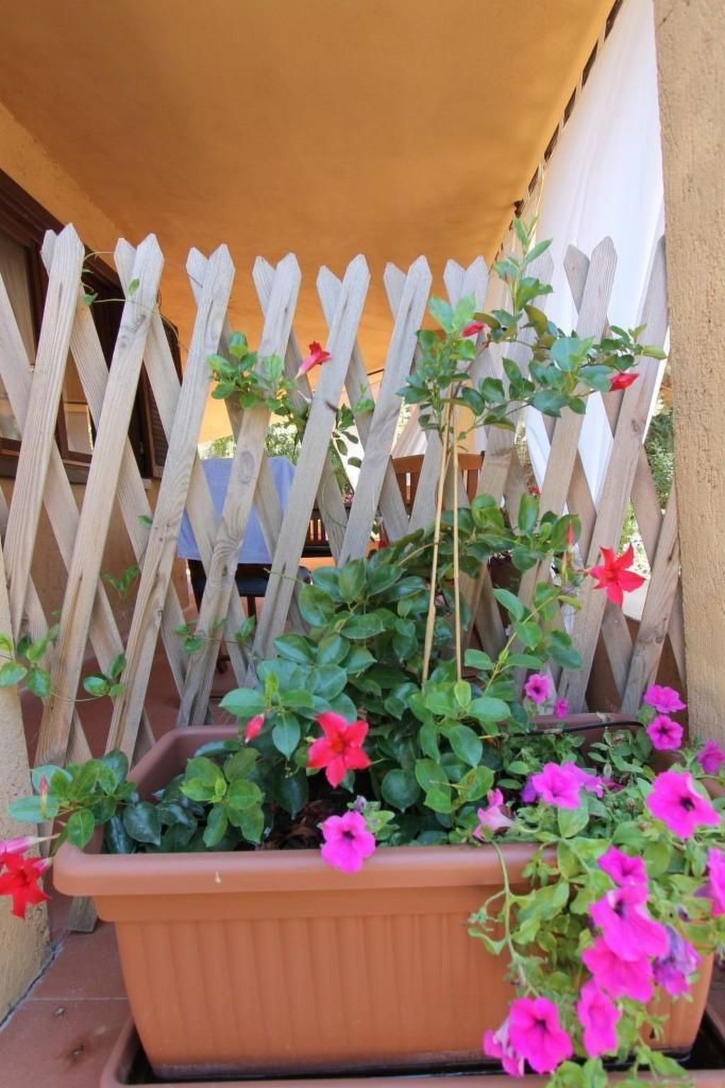 Wohnung 'Rosa 3' mit Terrasse-Image-tags.info