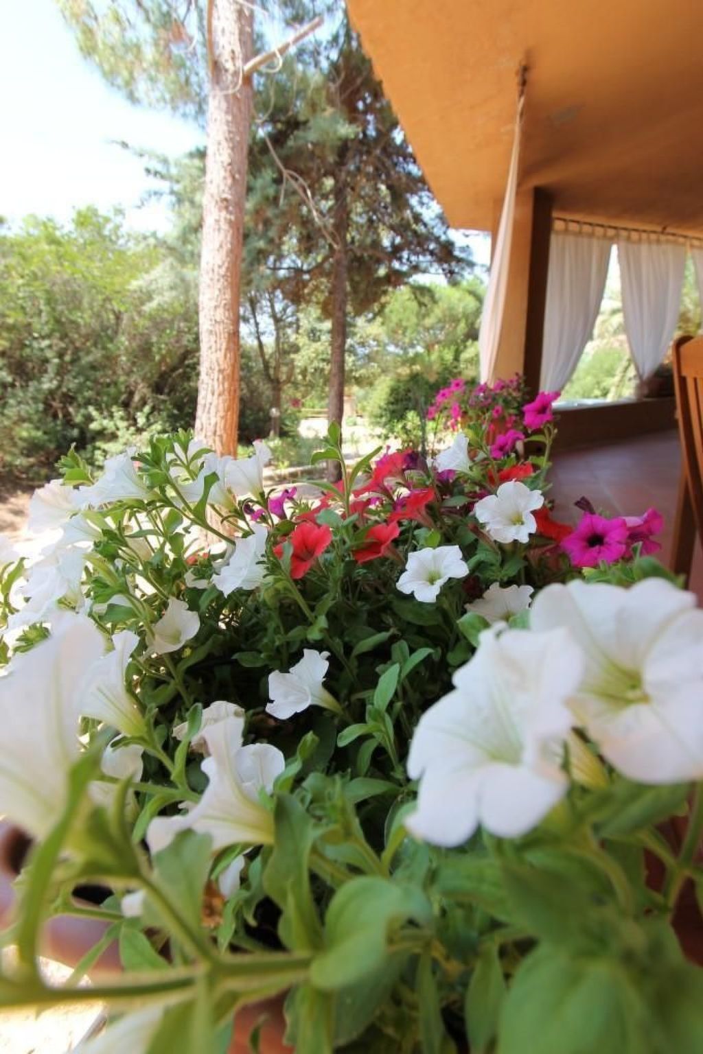 Wohnung 'Rosa 3' mit Terrasse-Image-tags.info