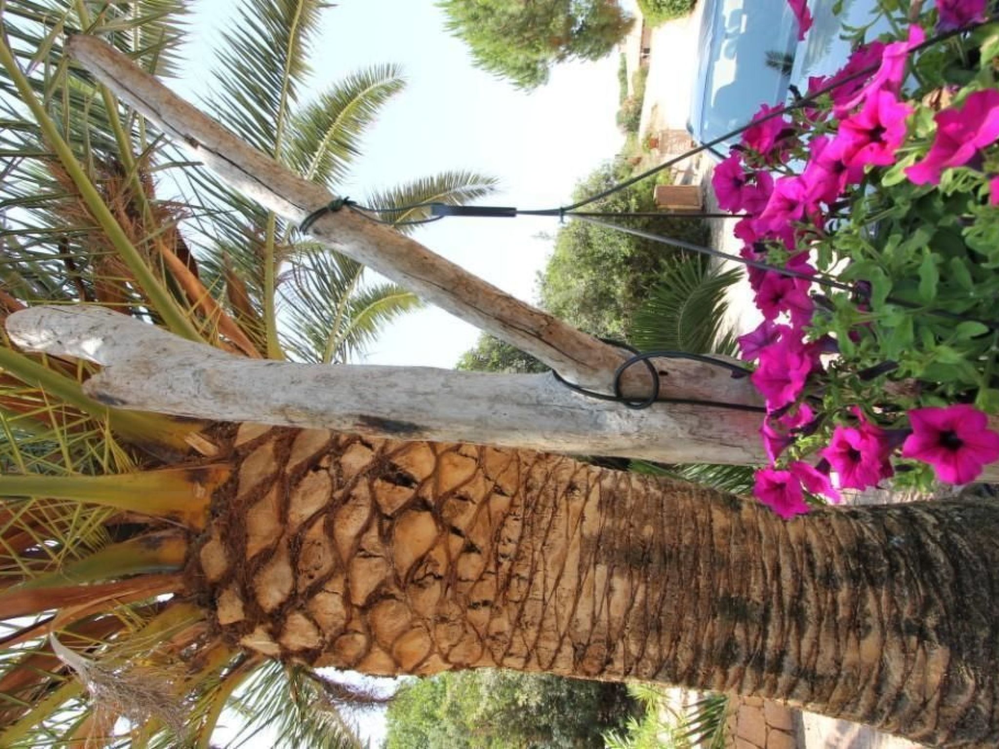 Wohnung 'Rosa 3' mit Terrasse-Image-tags.info