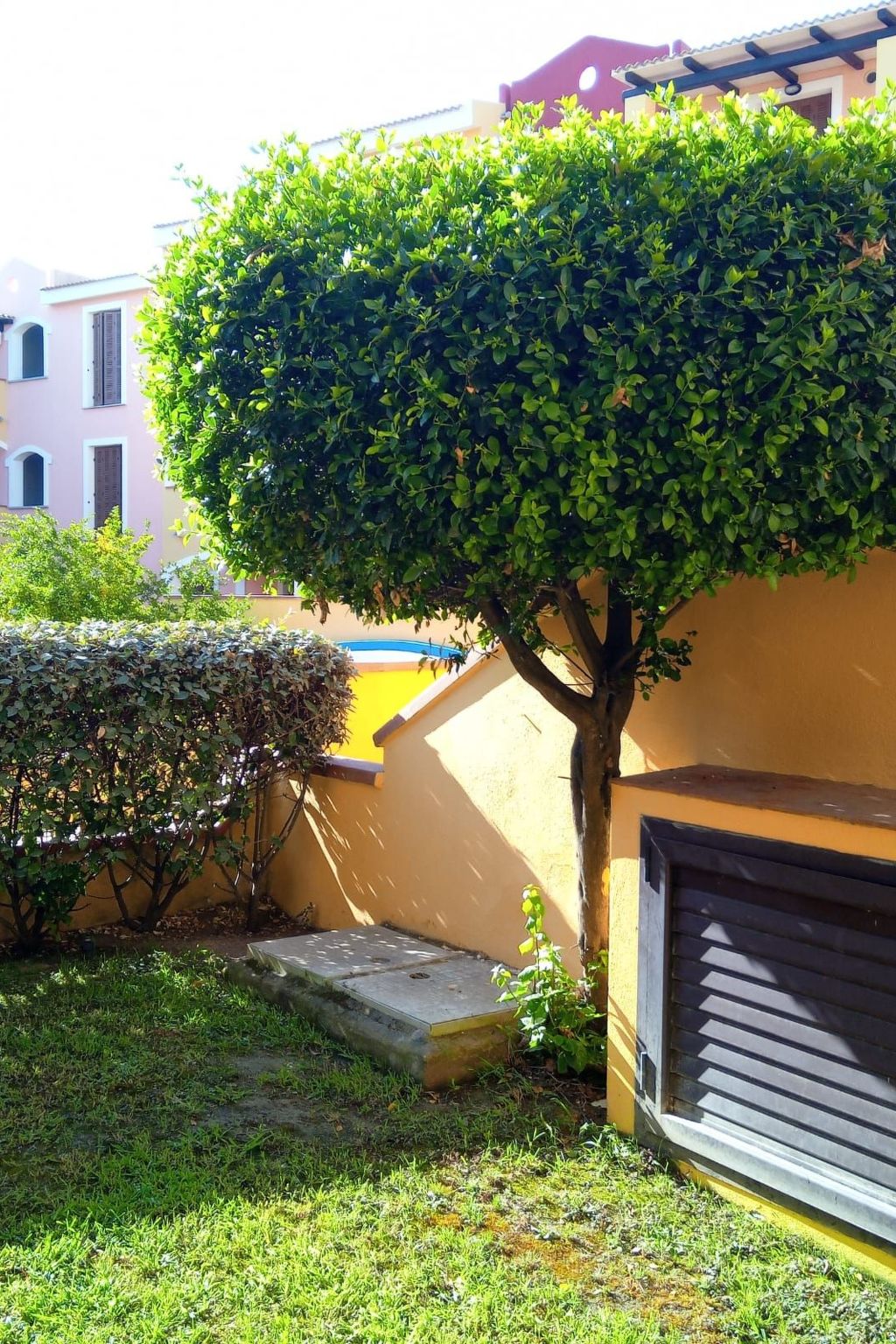 Fabelhaft studio in Santa Teresa Gallura-Image-tags.info