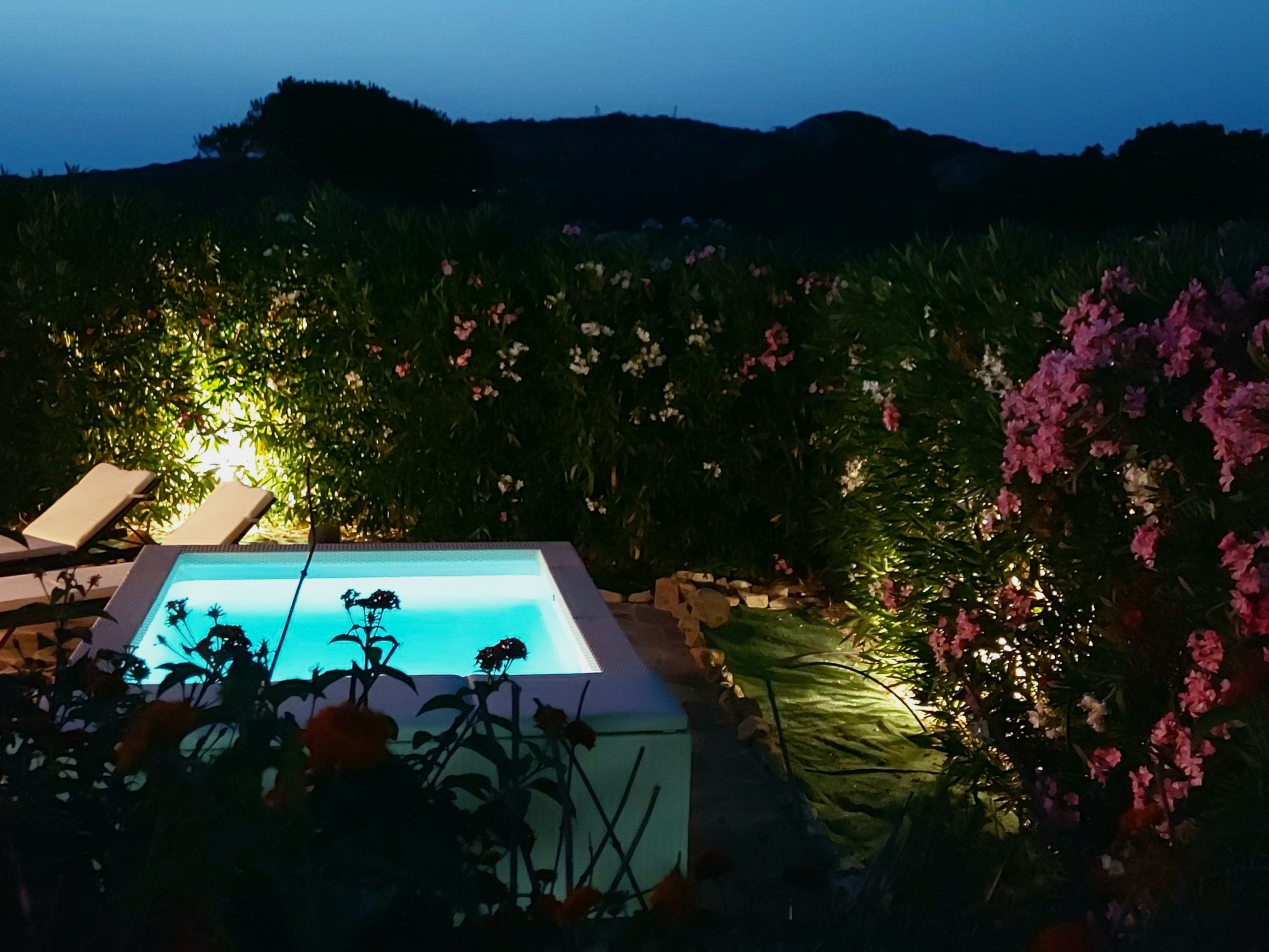 Maison Shardana – Piscine extérieure, photo 58 sur 69