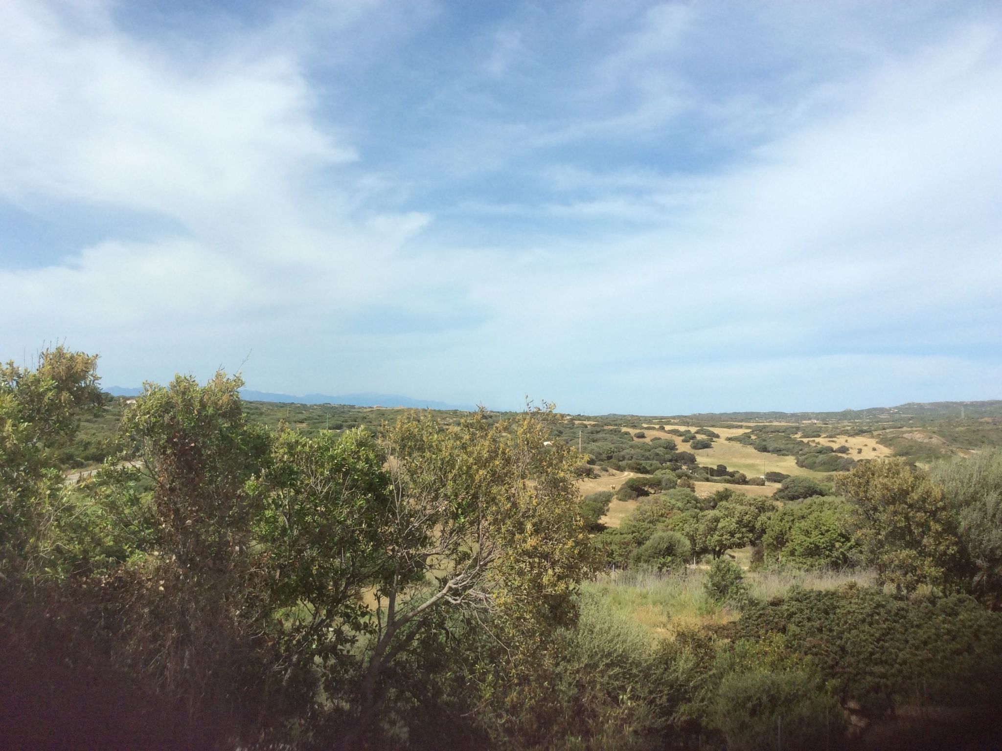 Stazzo Dell'Antica Trebbia in Gallura-Binnen