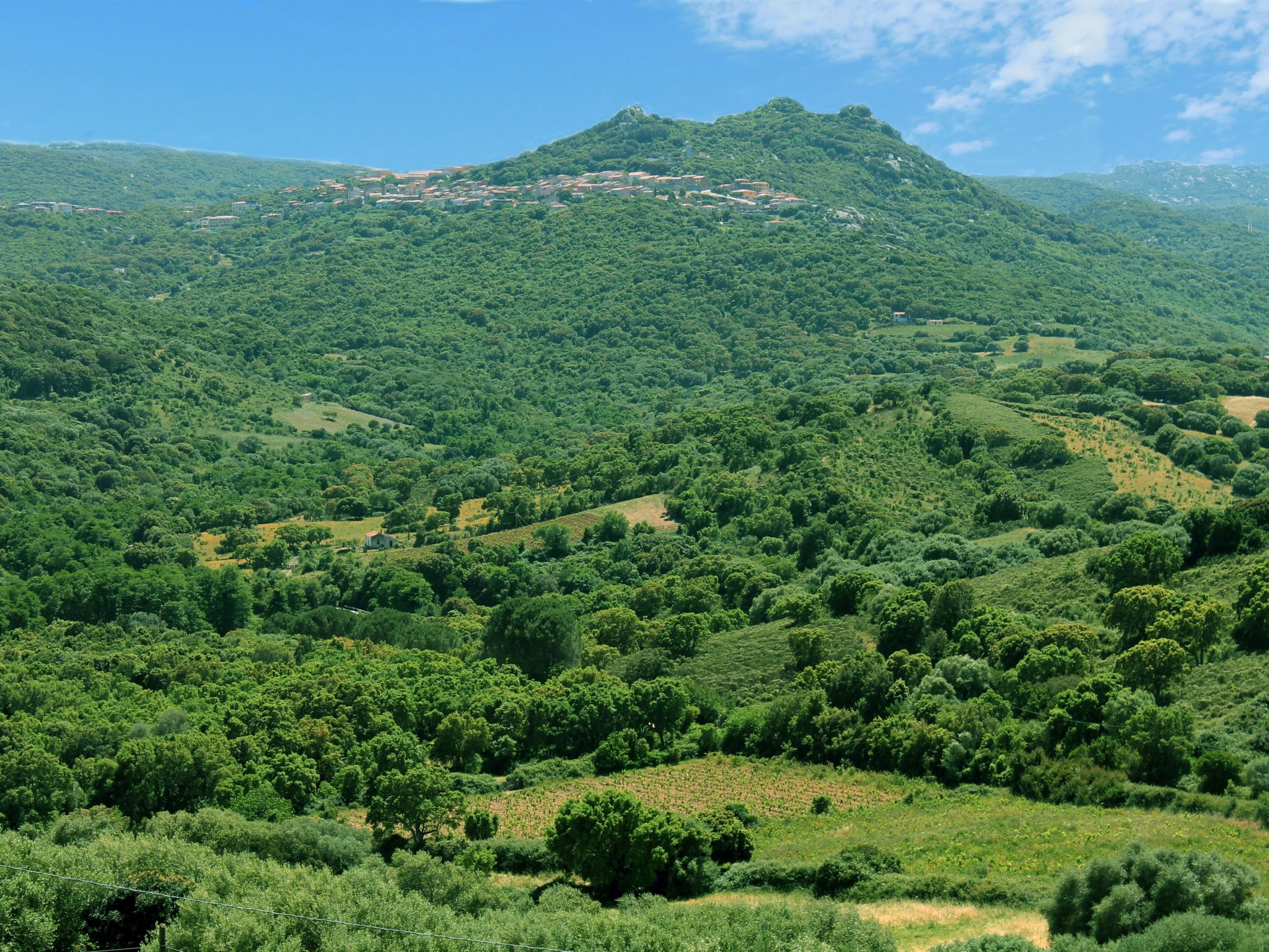 Stazzo mit Garten in Luogosanto-Binnen