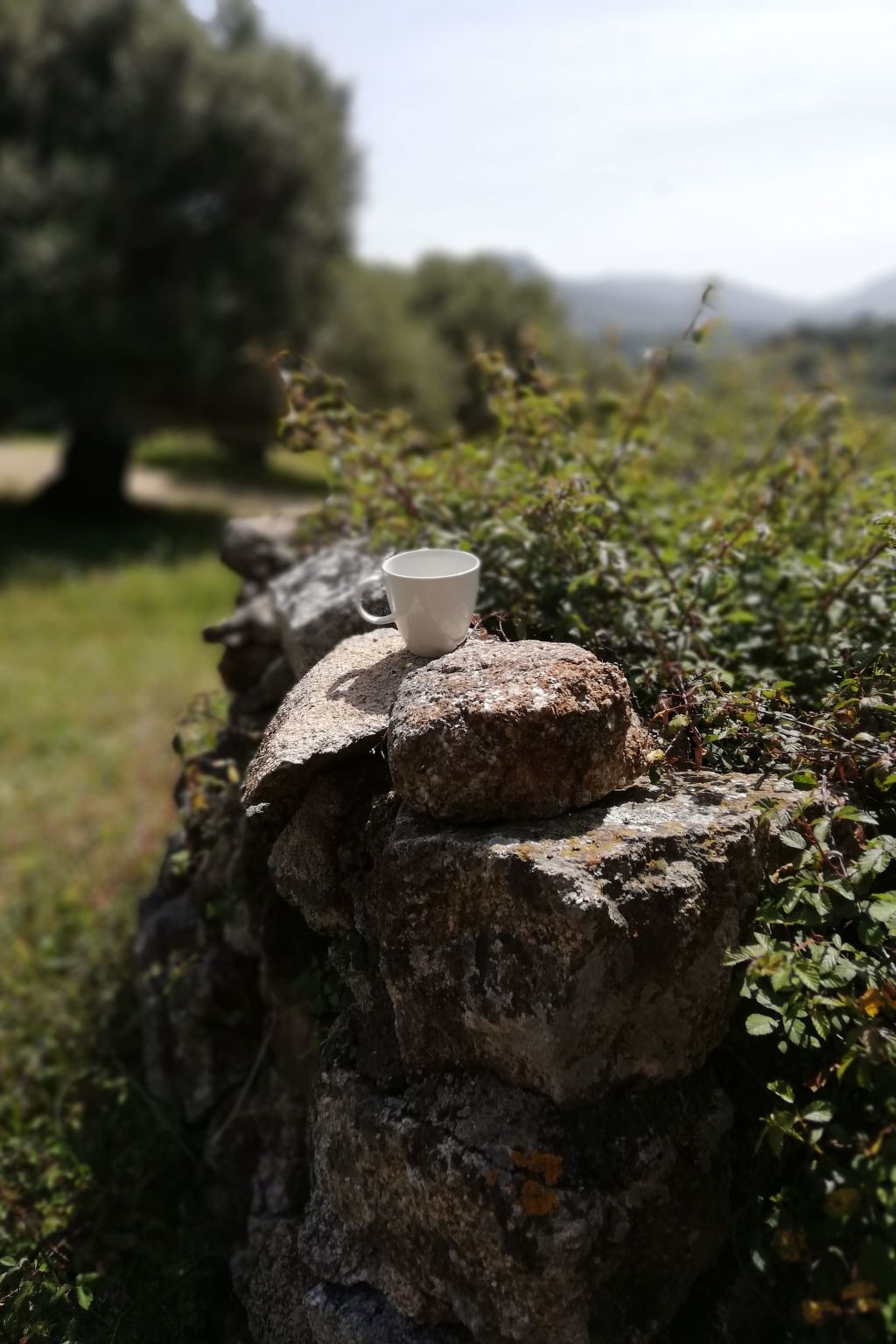 Stazzo mit Garten in Luogosanto-Binnen