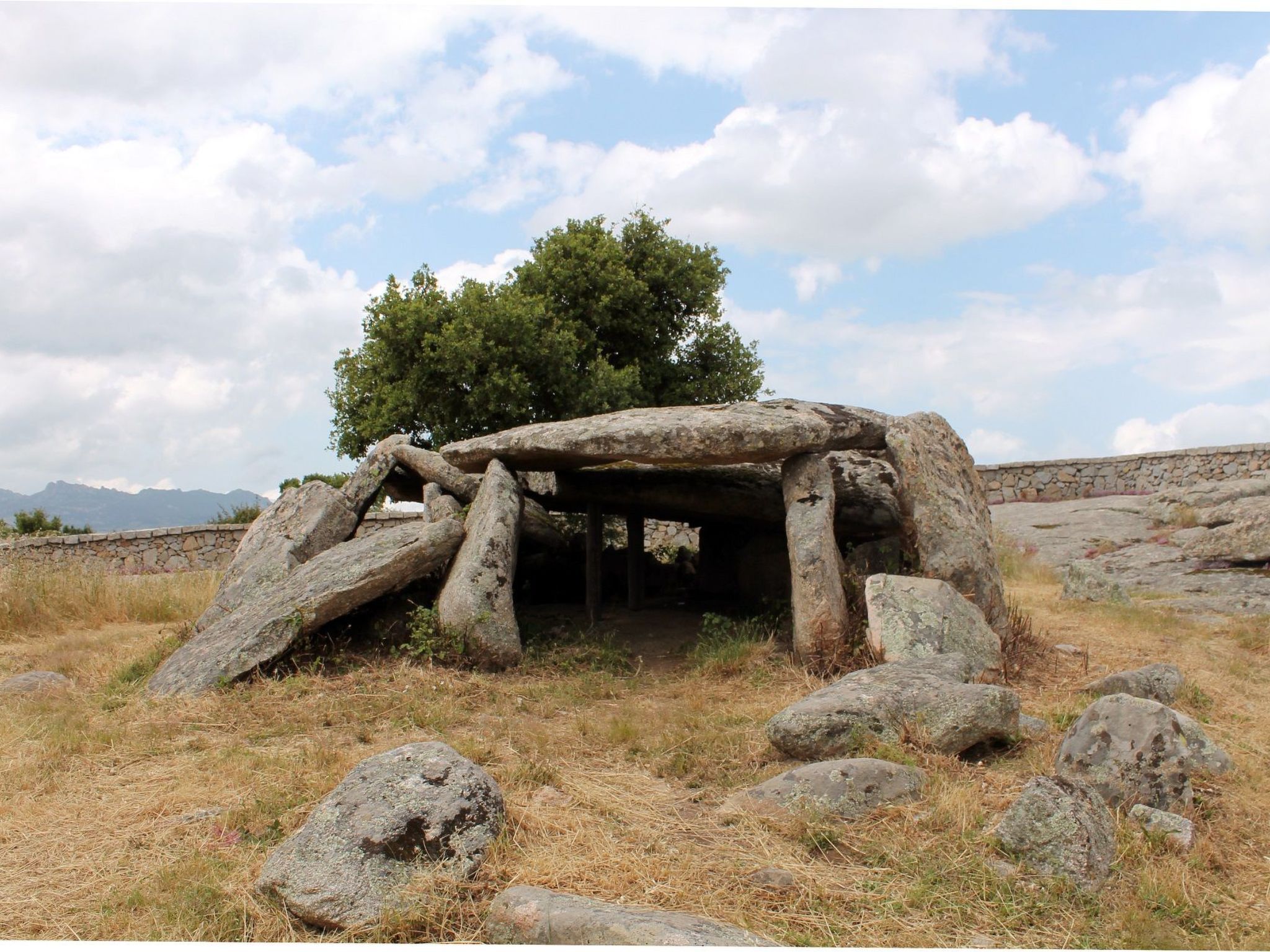 Stazzo mit Garten in Luogosanto-Binnen