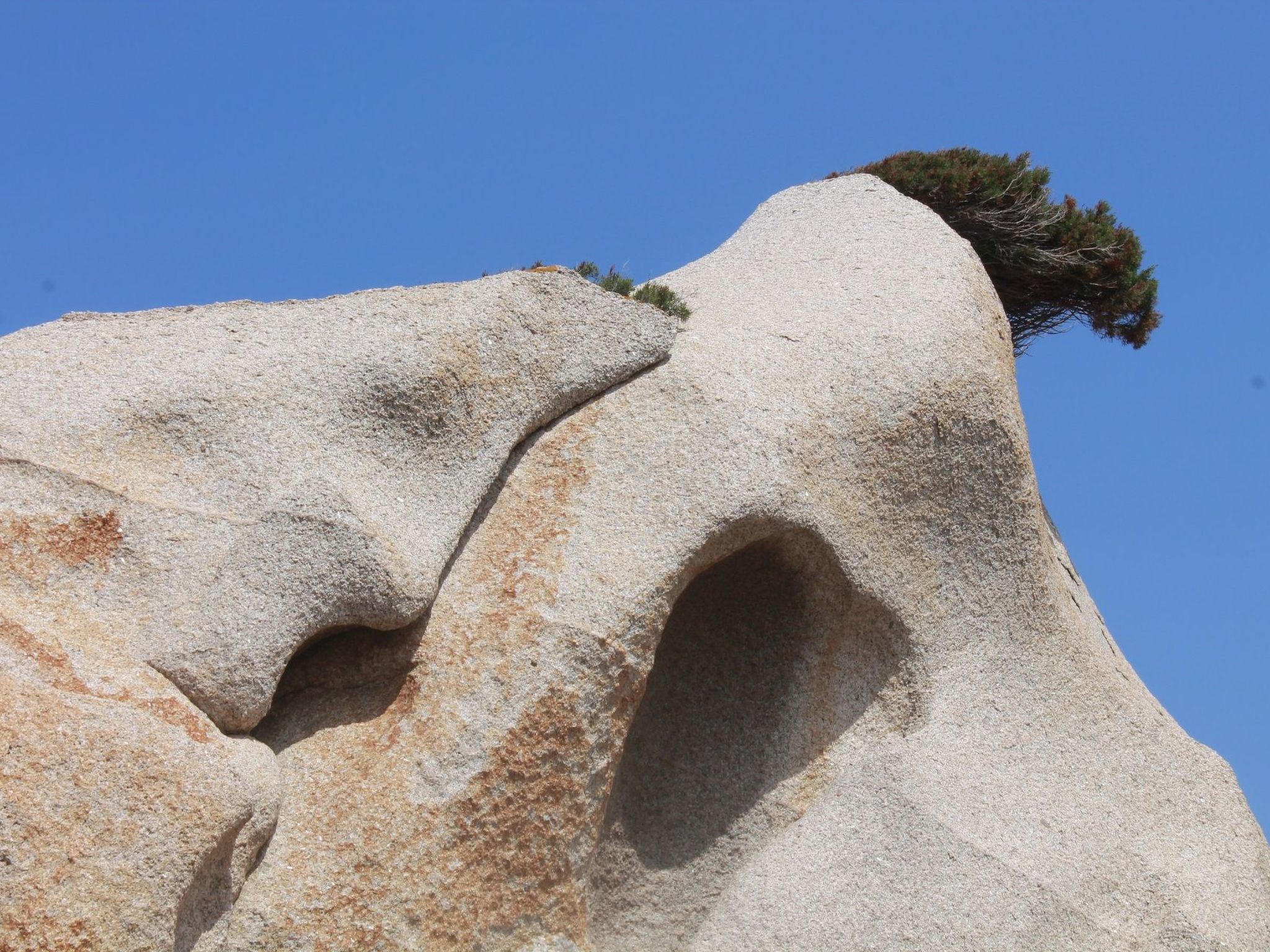 Stazzo mit Garten in Luogosanto-Binnen