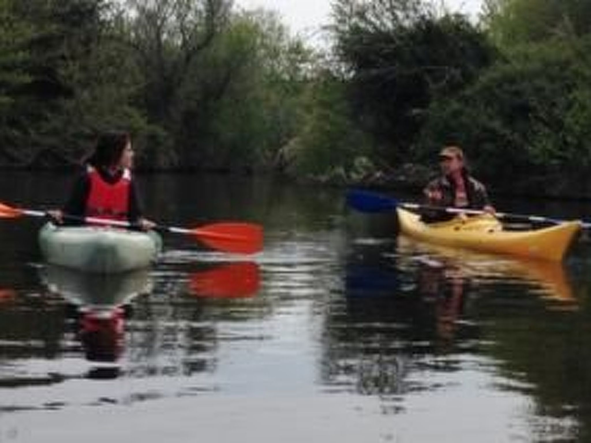 Anwesen "Oase der Ruhe in der Natur" mit Terrasse-Drinnen