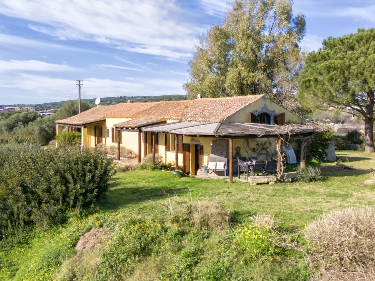 Photo of Grecale