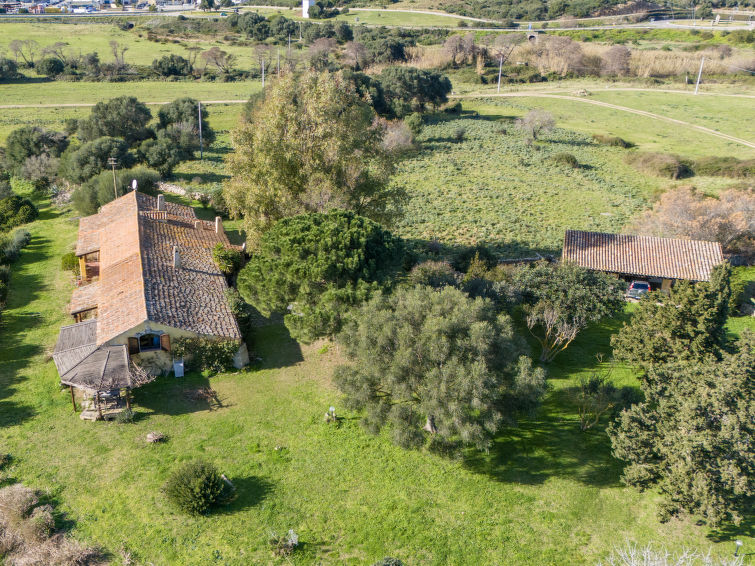 Photo of Tramontana