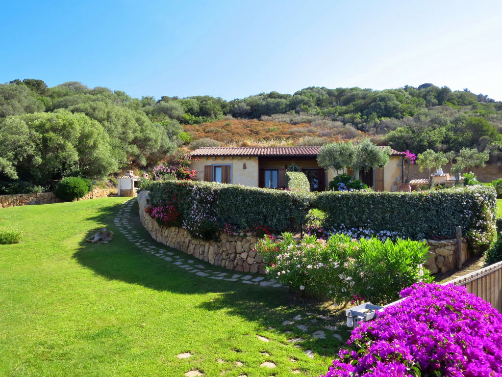 Stazzu Mary & Patty (PAU392)