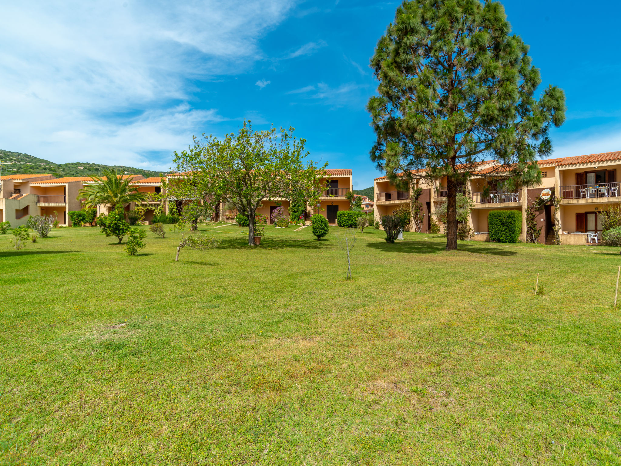 Photo of Mediterranea (CNI181)