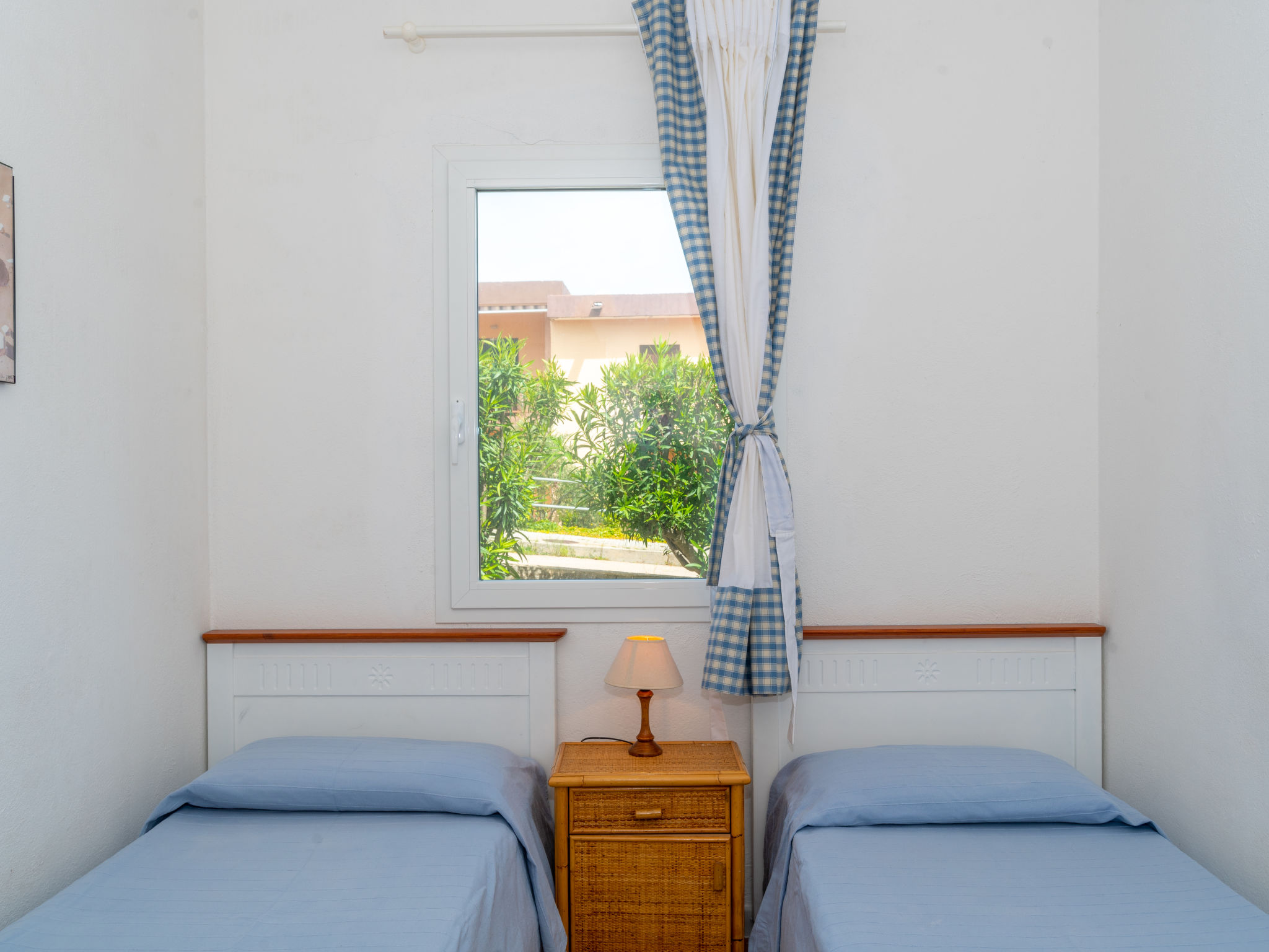 Photo of Mediterranea (CNI181)