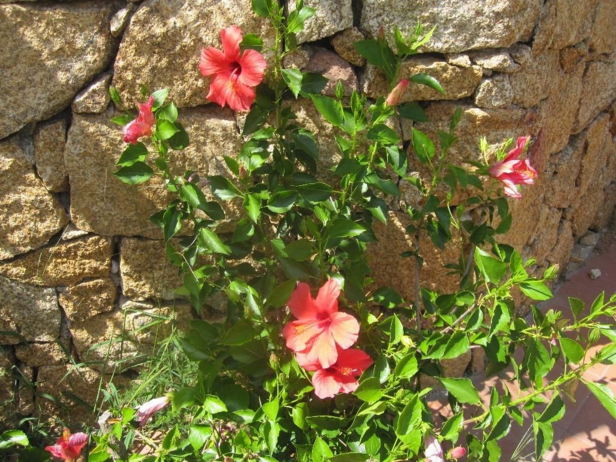 Villa am Meer-Binnen