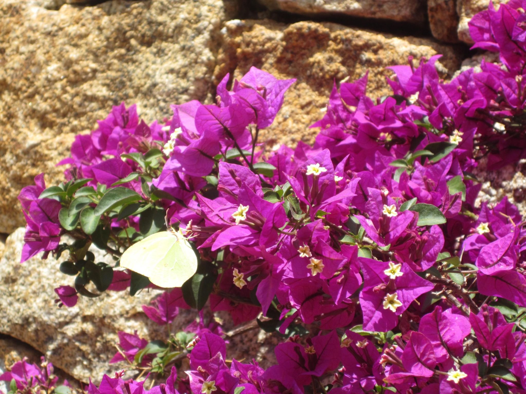 Charmante Wohnung Lungomare Cannigione-Binnen