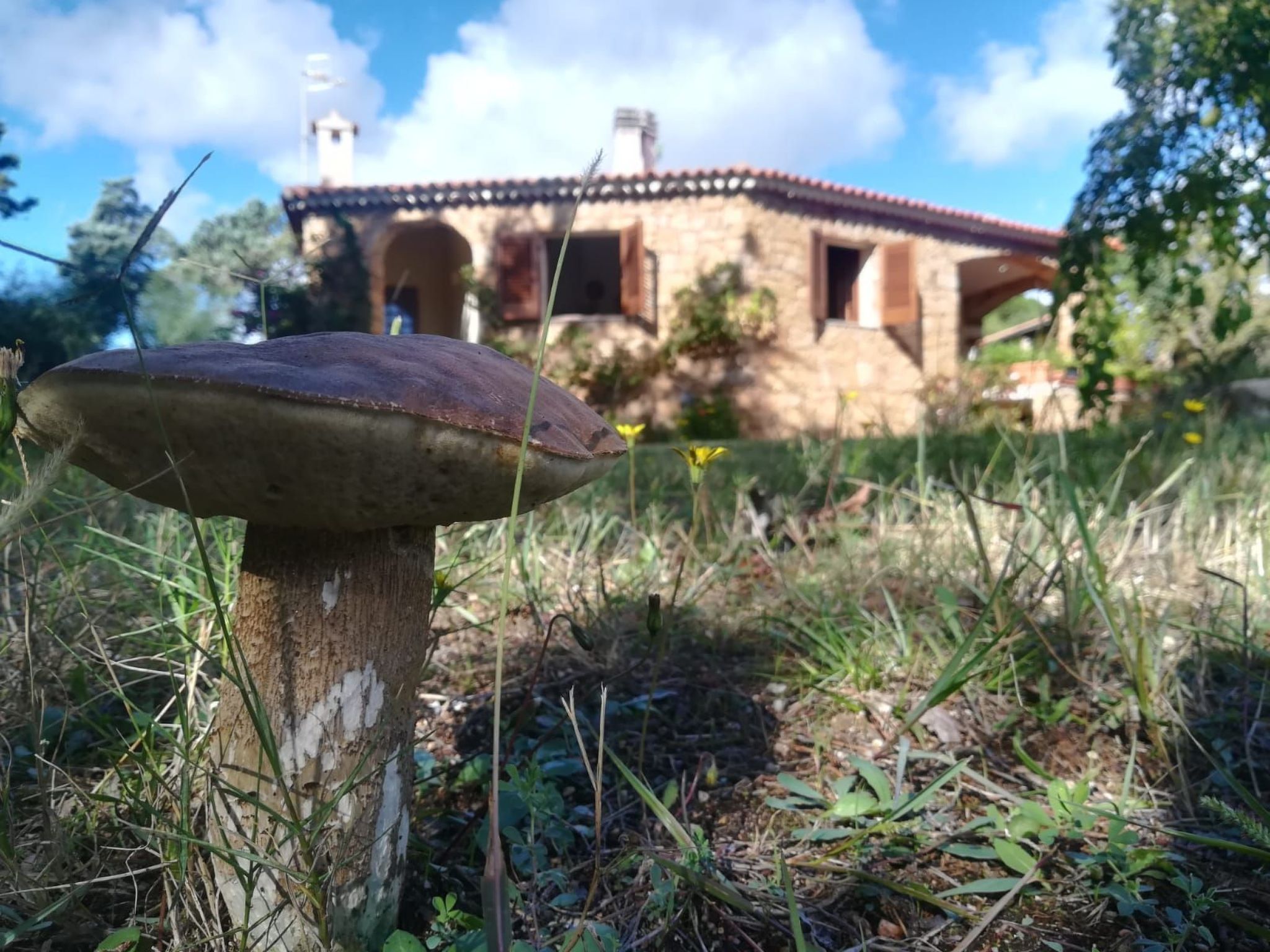 Charmante Wohnung Lungomare Cannigione-Binnen