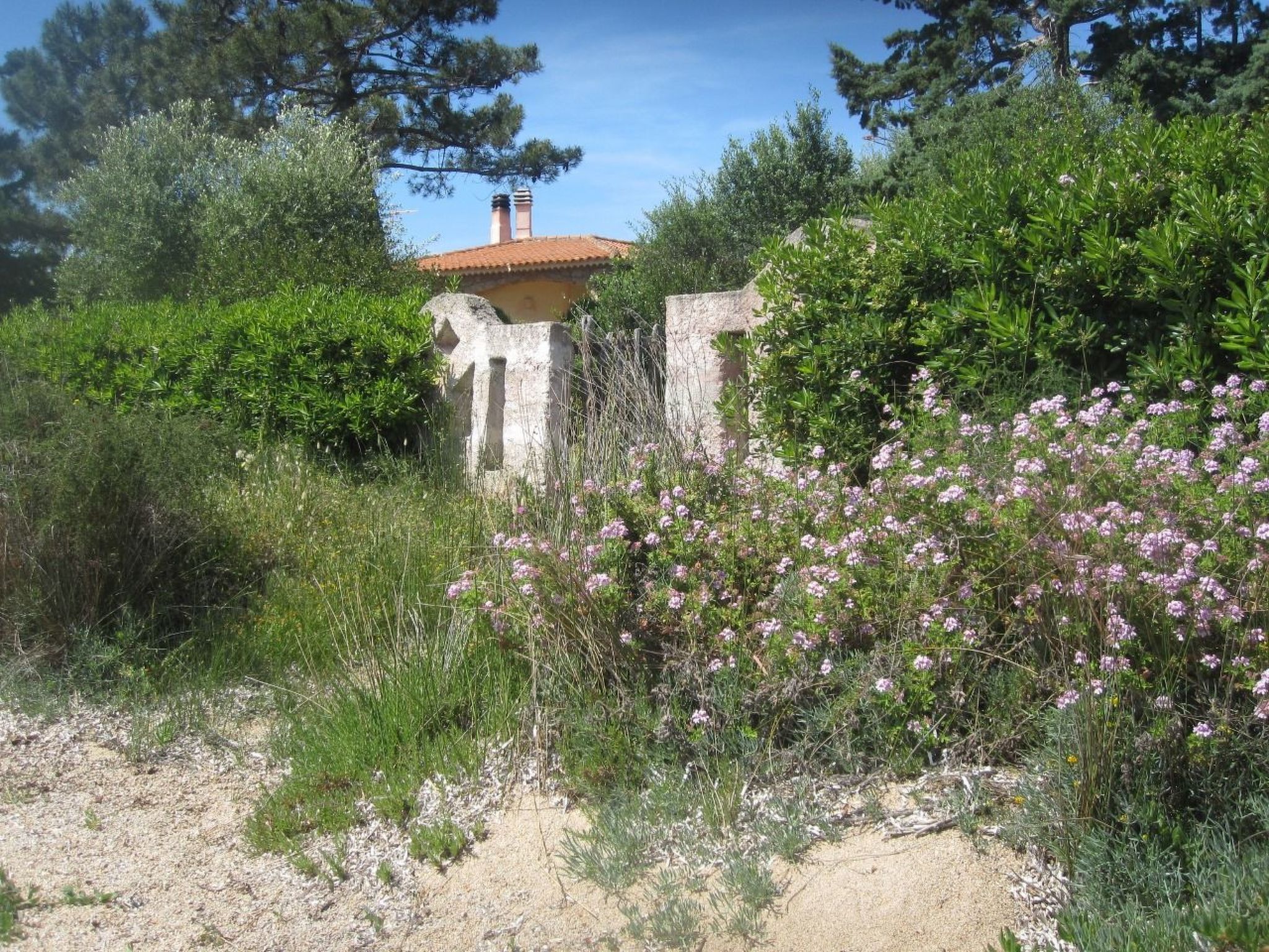 Charmante Wohnung Lungomare Cannigione-Binnen
