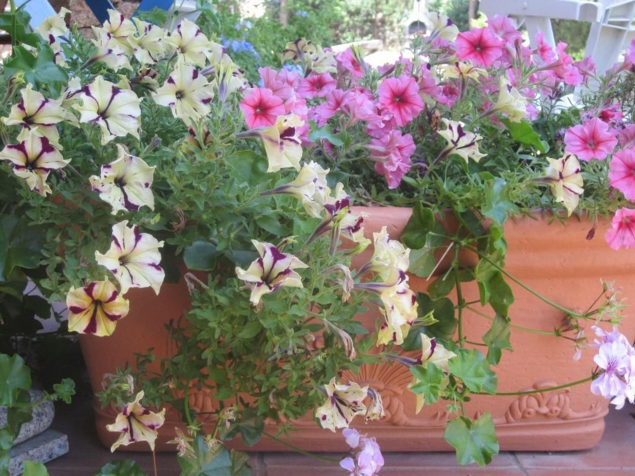 Charmante Wohnung Lungomare Cannigione-Binnen