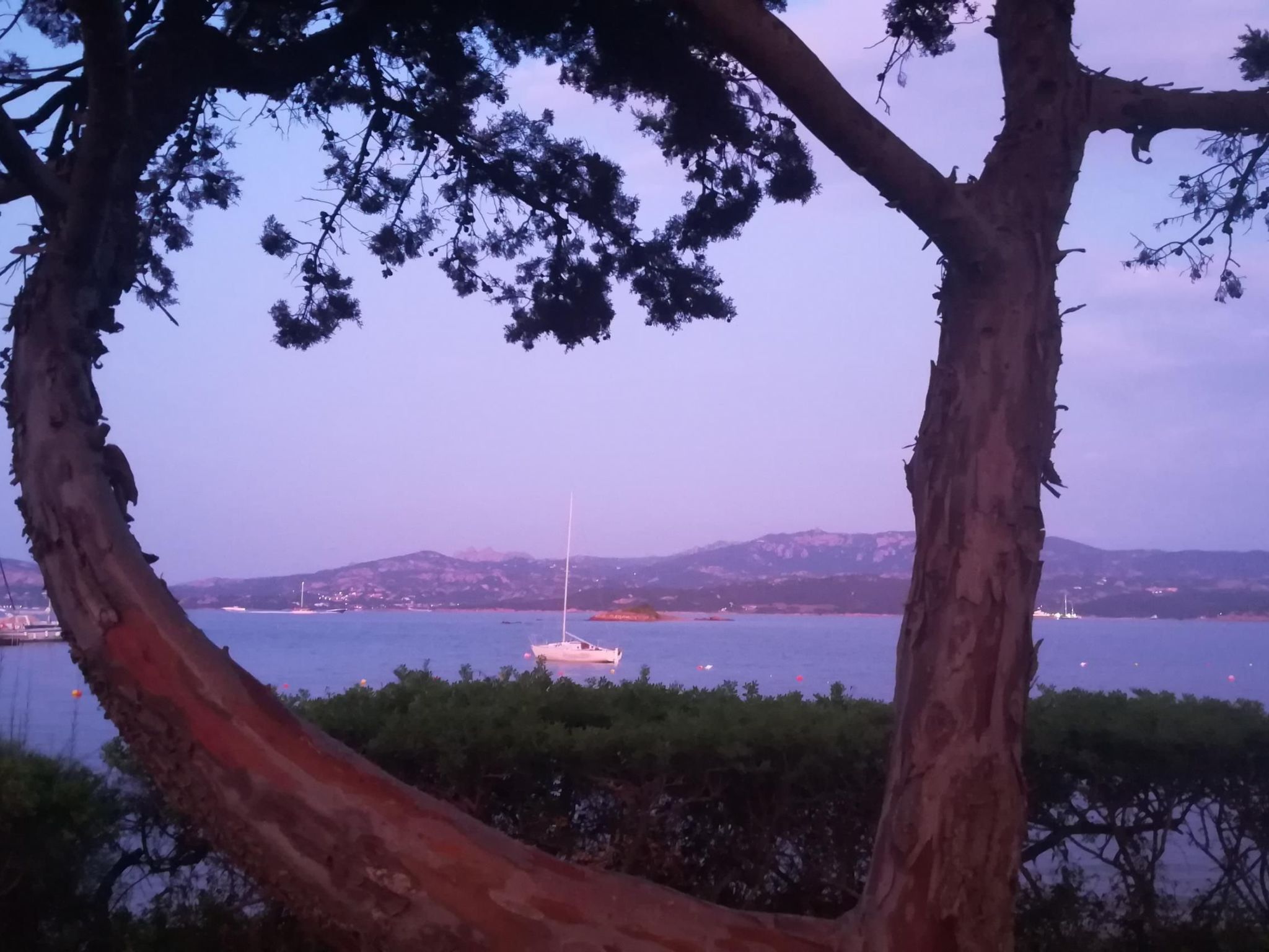 Charmante Wohnung Lungomare Cannigione-Binnen