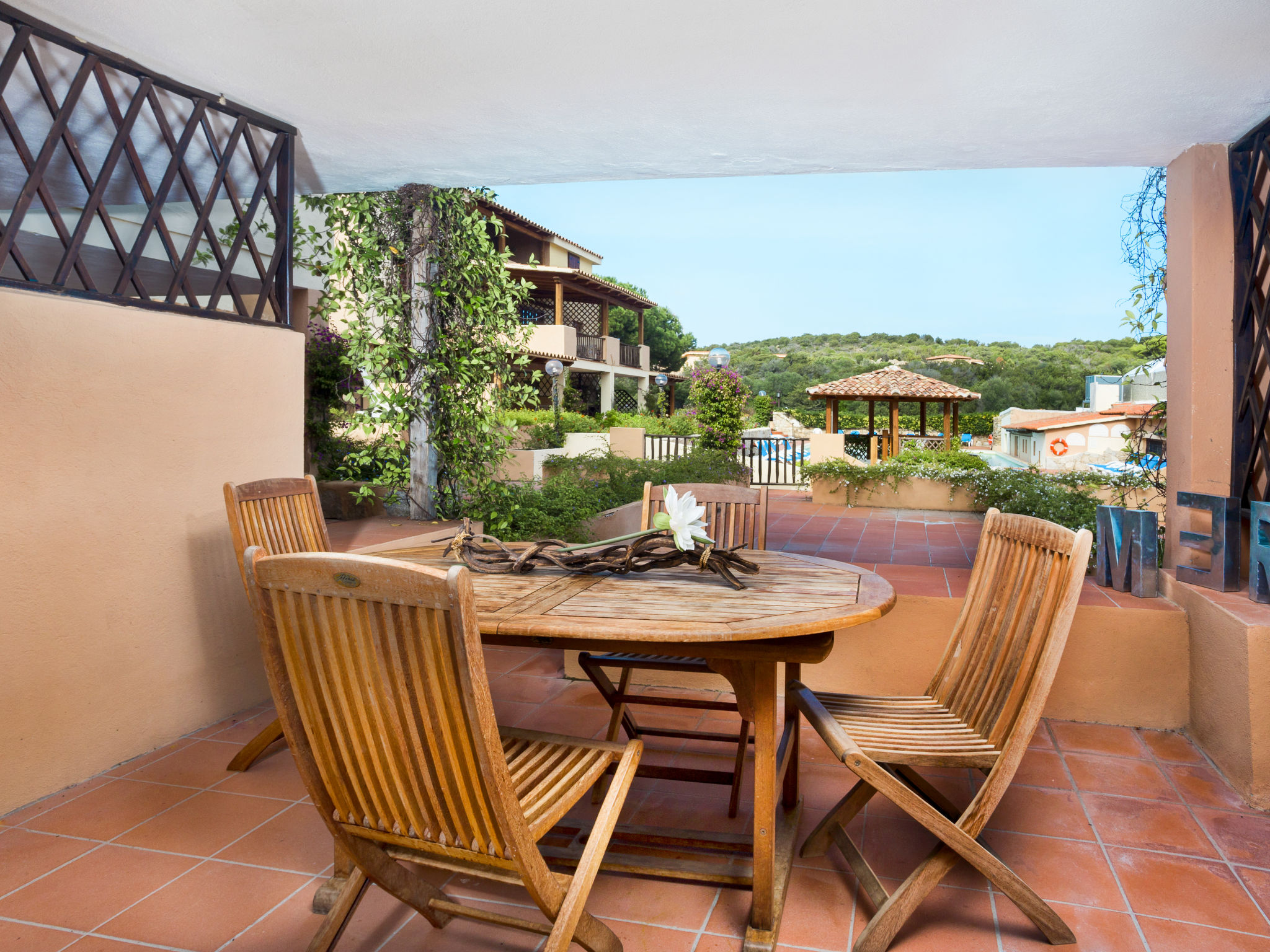 Photo of Bougainvillae Bilo