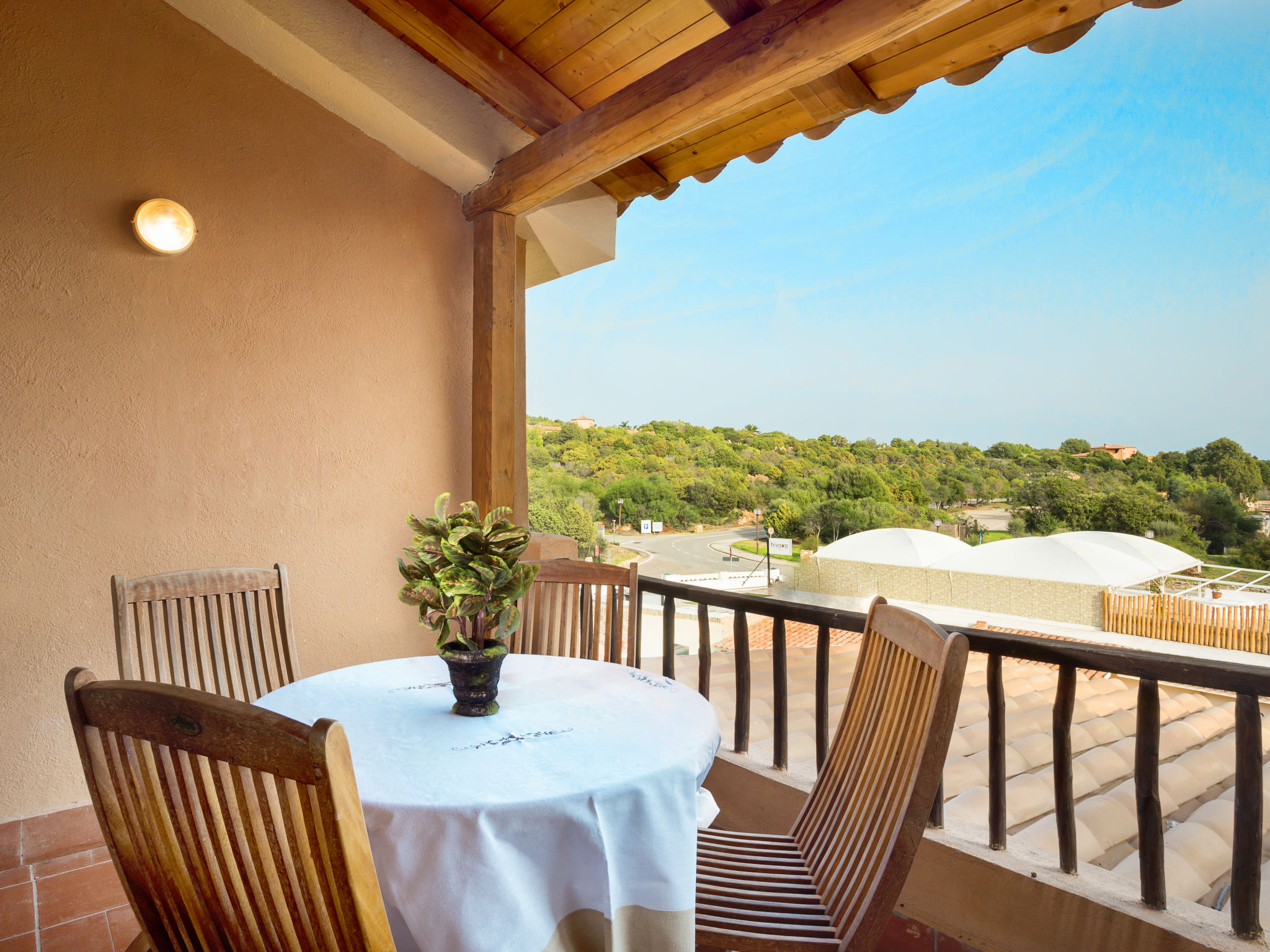 Photo of Bougainvillae Trilo