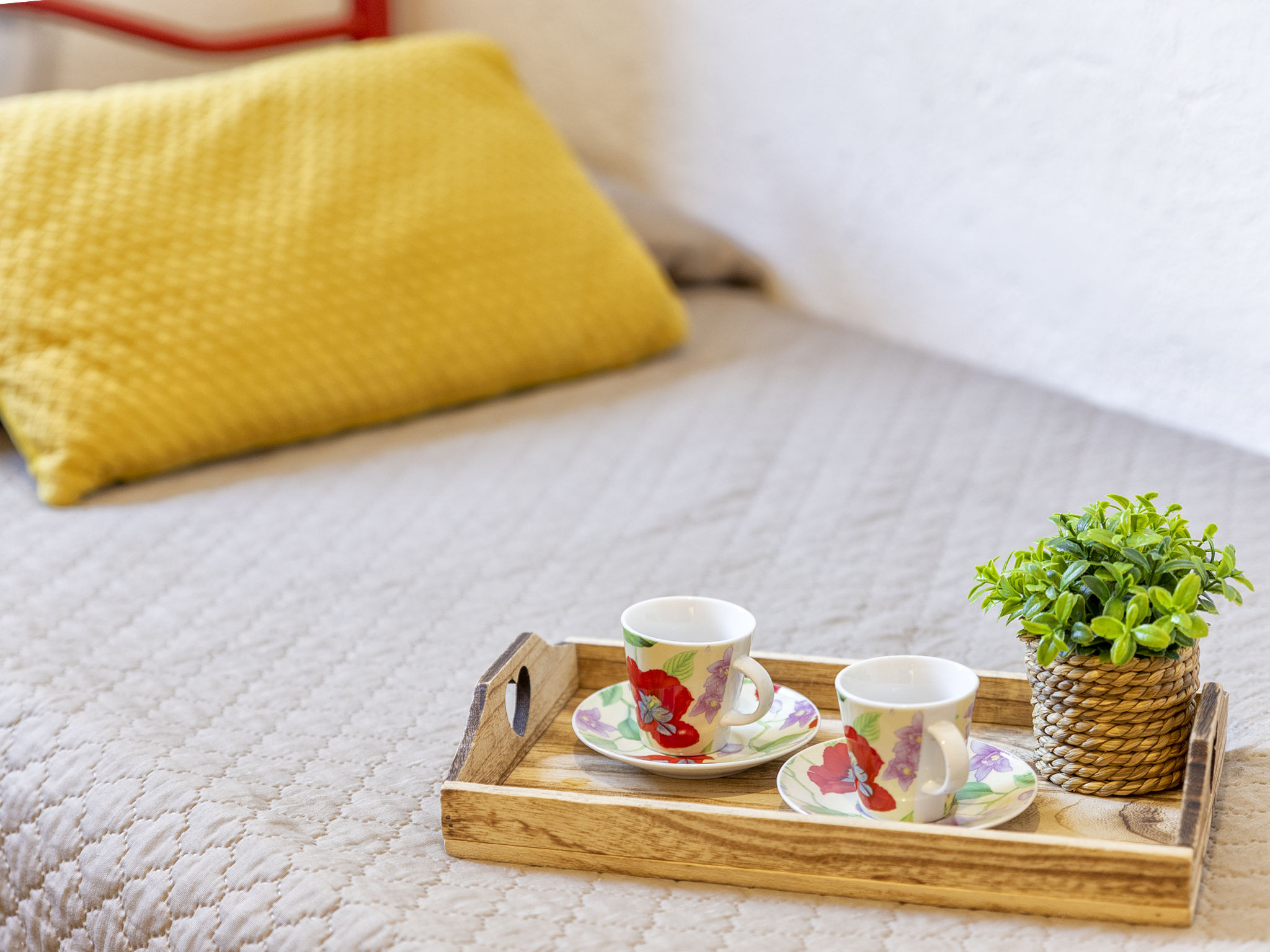 Photo of CSB - 9 - Baia de Bahas