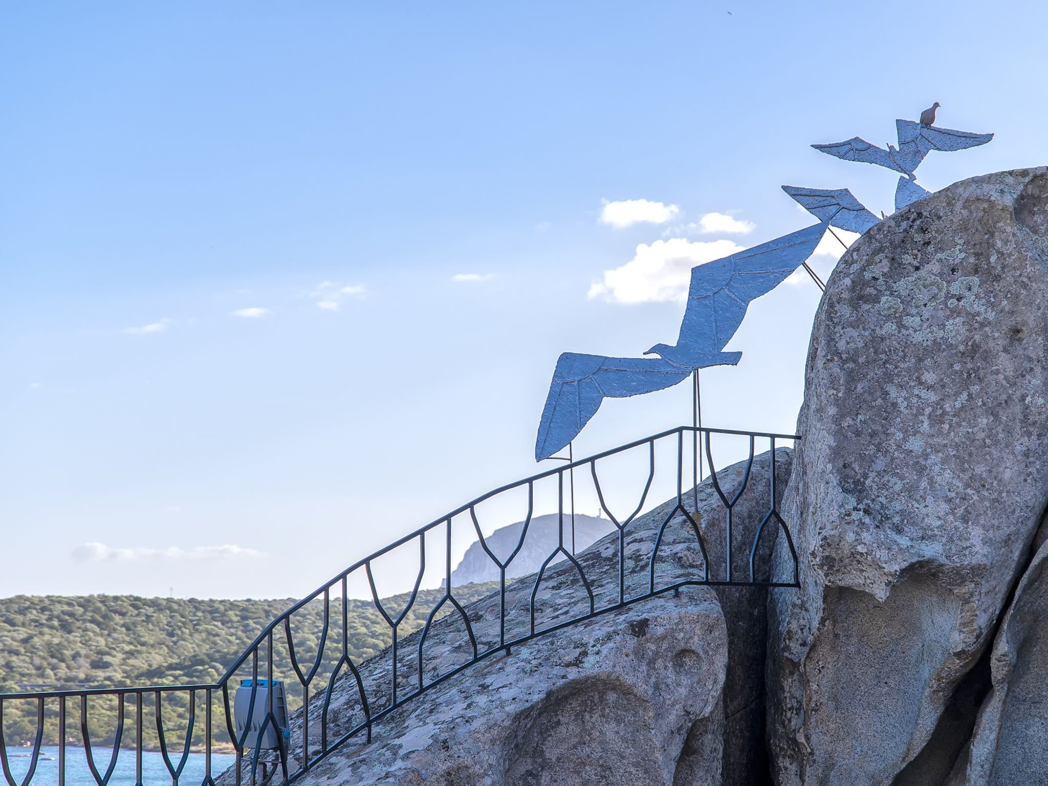 Photo of 0/5/F - Marineledda