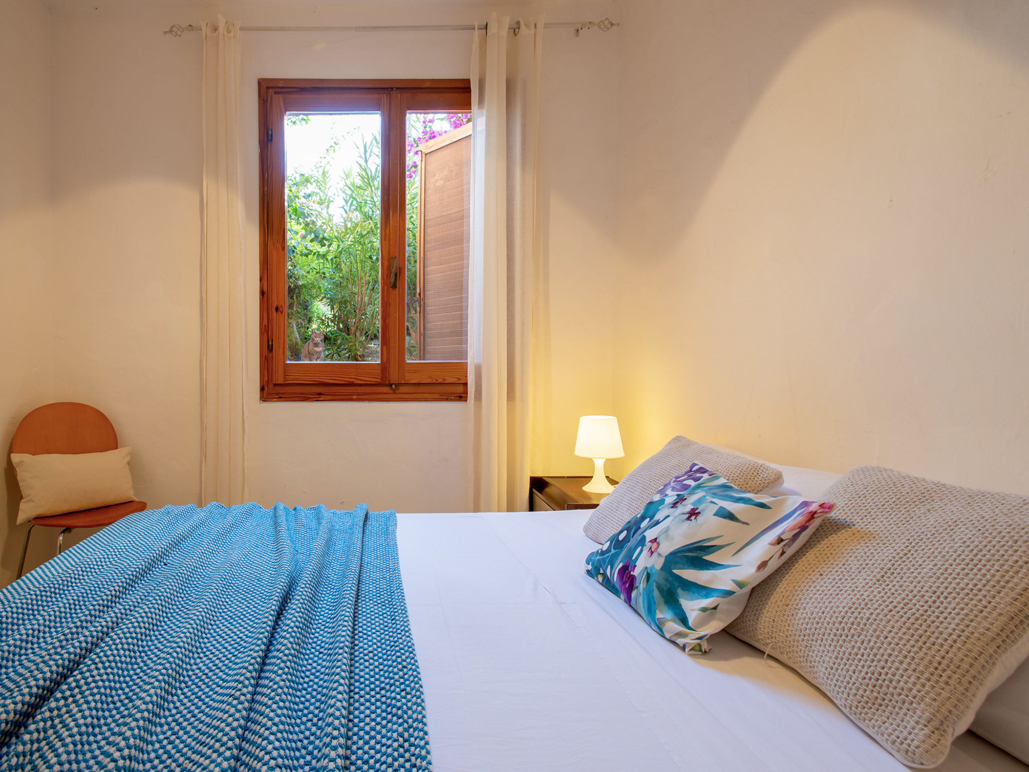 Photo of B/0/3 - Marineledda