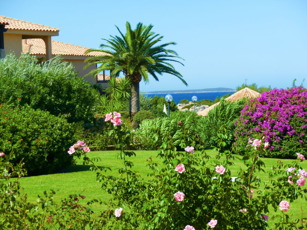 Baia de Bahas (GMA150)