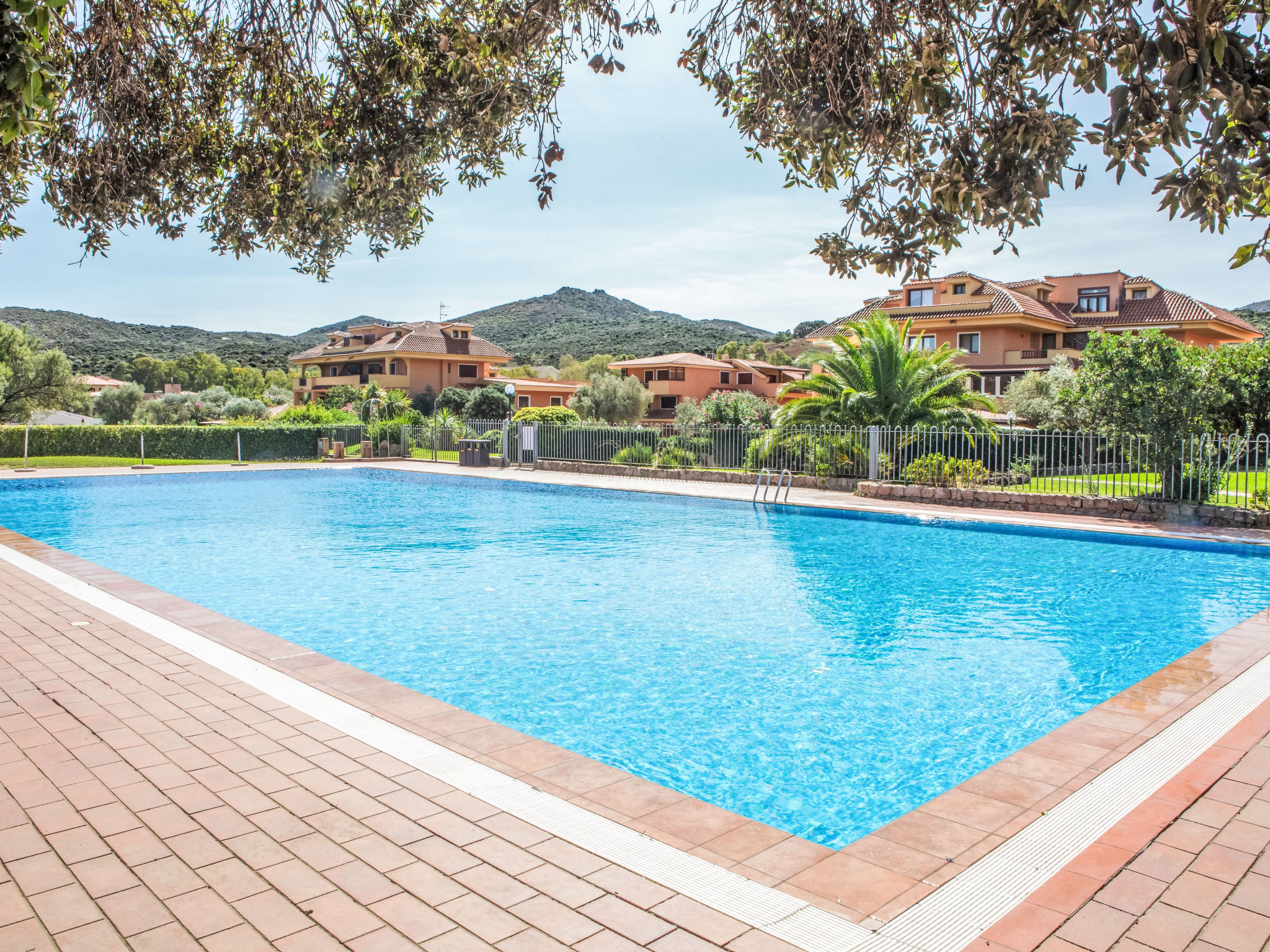 Photo of Trilo marinella