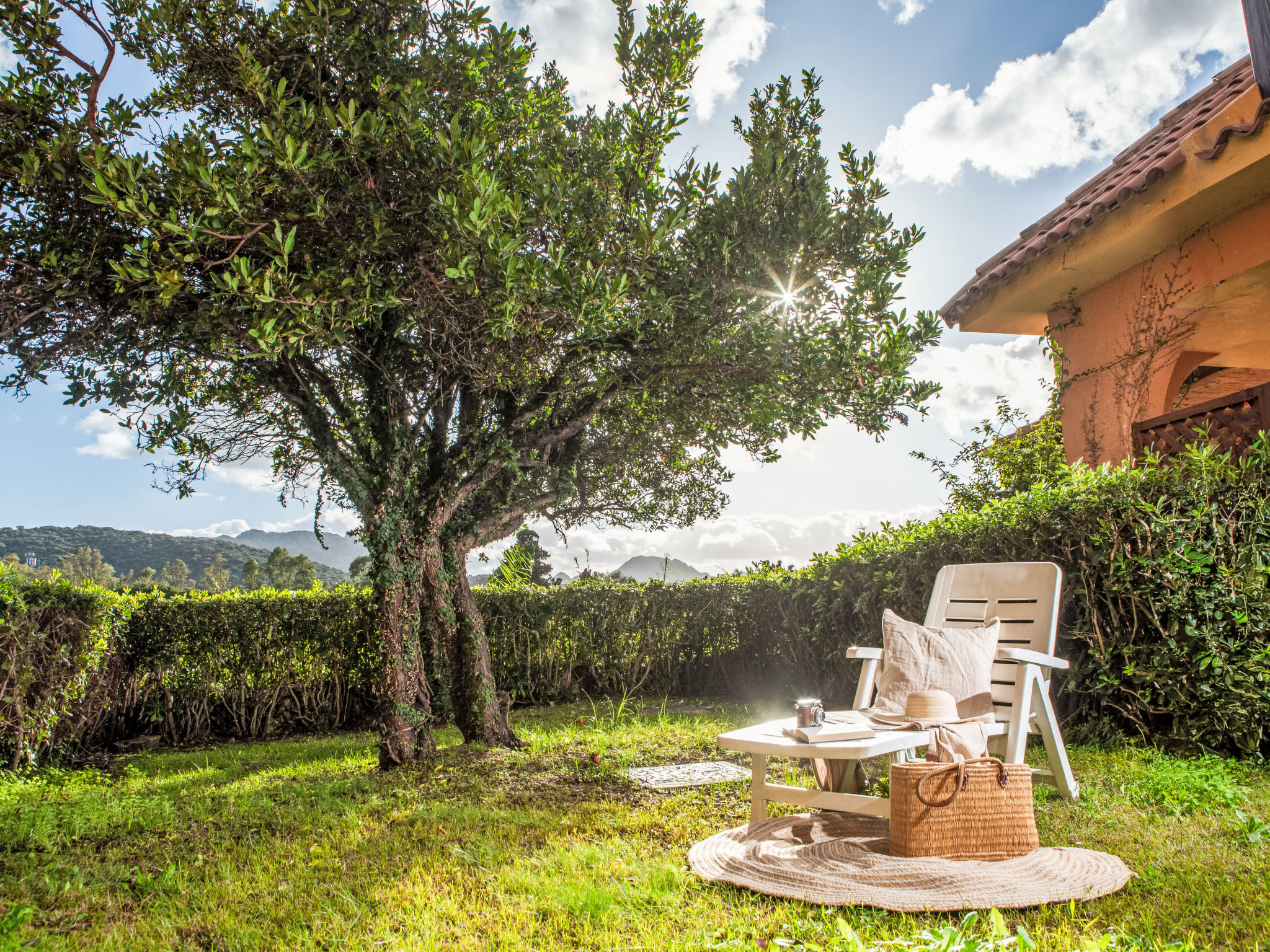 Photo of Trilo marinella