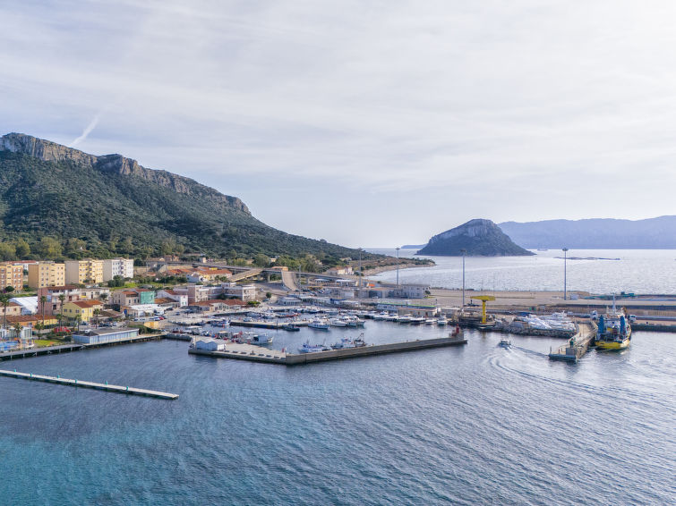Photo of La Delfina